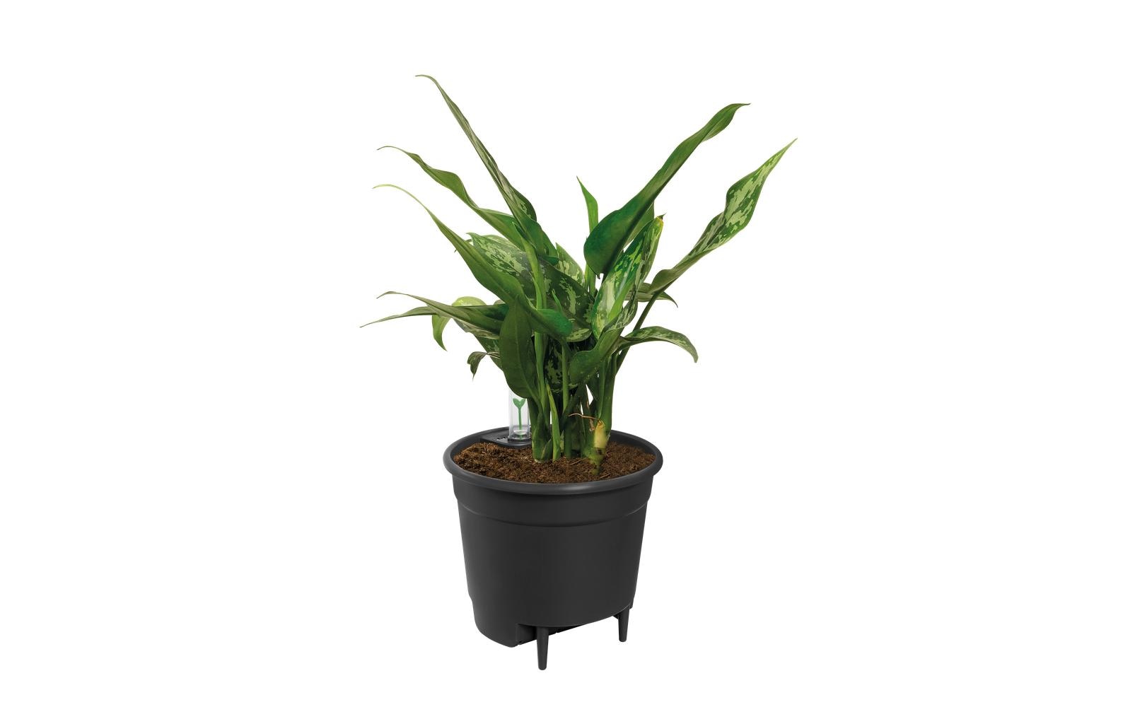 elho Selbstbewässerungssystem – Ø 36 cm, 22 l – Kunststoff, schwarz