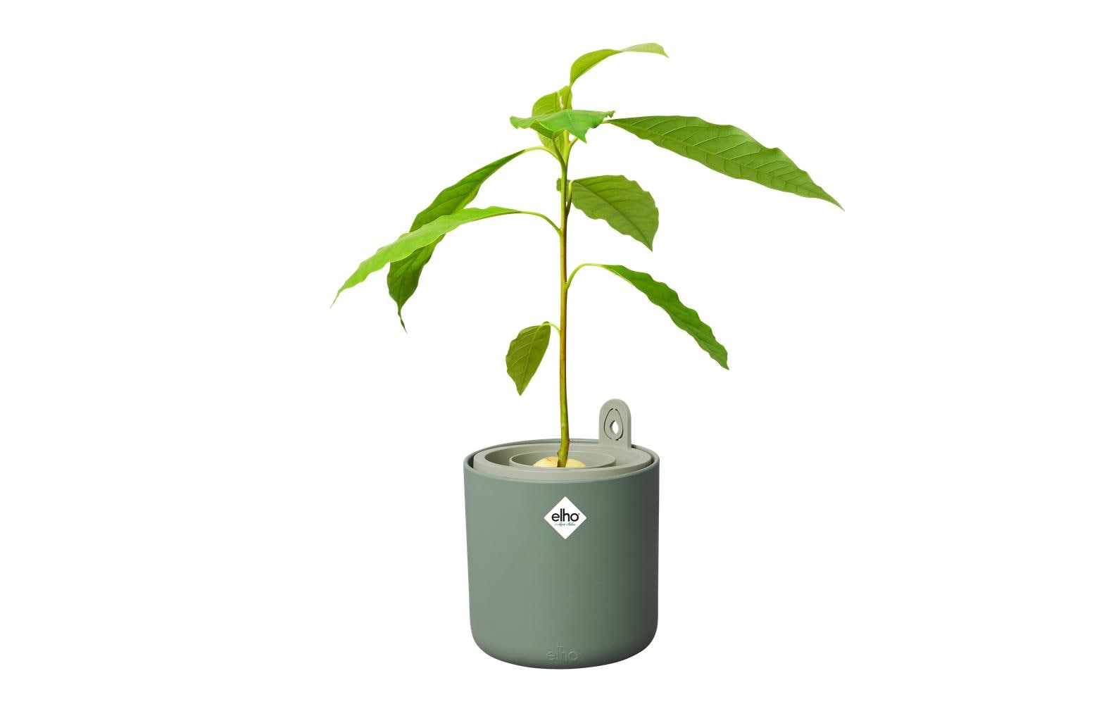 elho Pflanztopf – Ø 120 cm, 1000 ml – Kunststoff, Grün
