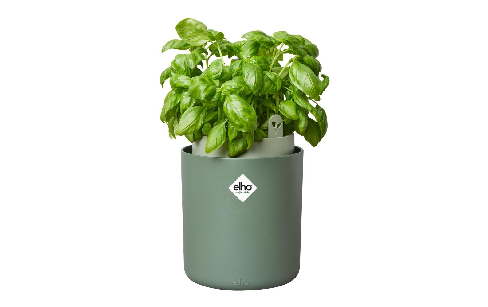 elho Bouncy Basil Schale – Kunststoff, Grün – Ø 17 × 21 cm