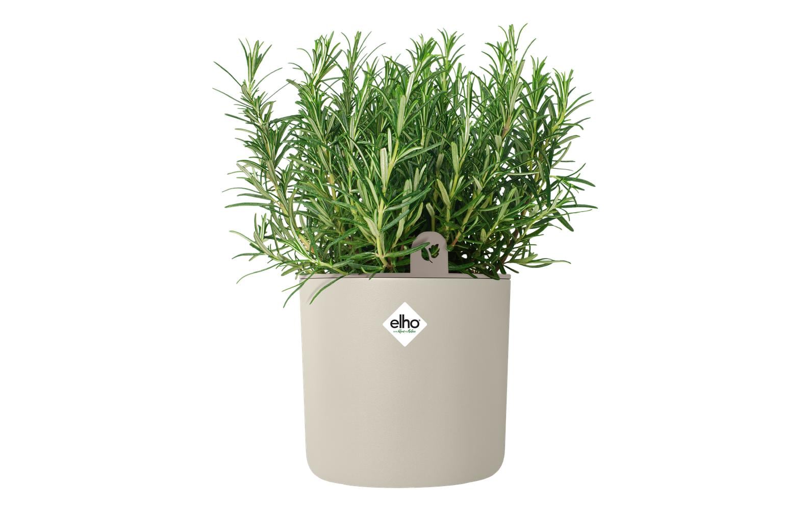 Elho Happy Herbs Pflanztopf – Ø 15 × 17 cm – Recycling-Kunststoff, Weiss