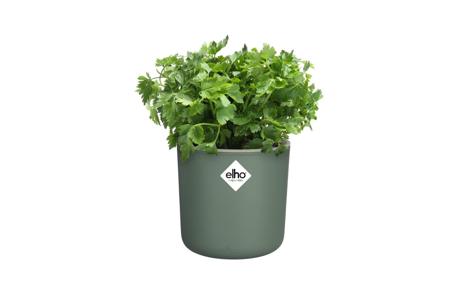 elho Happy Herbs 14 Blumentopf – 400 ml – Recycling-Kunststoff, Grün – mit Wandhalterung, Rund