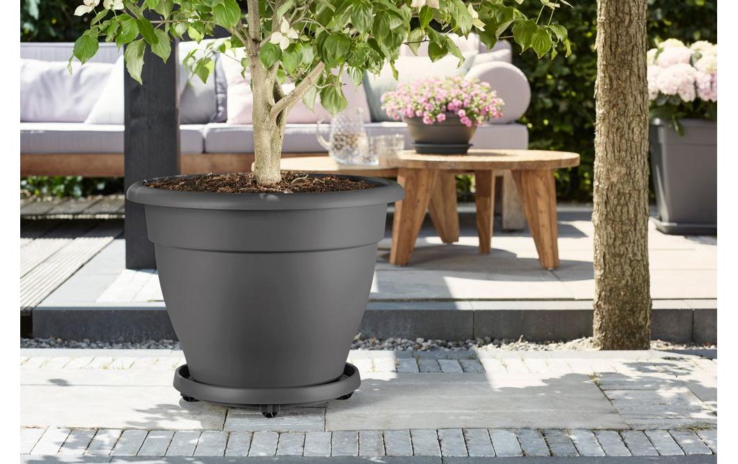elho Universal Planttaxi 35 Untersetzer – Recycling-Kunststoff – Schwarz – Ø 350 × 65 mm – 4 Rollen