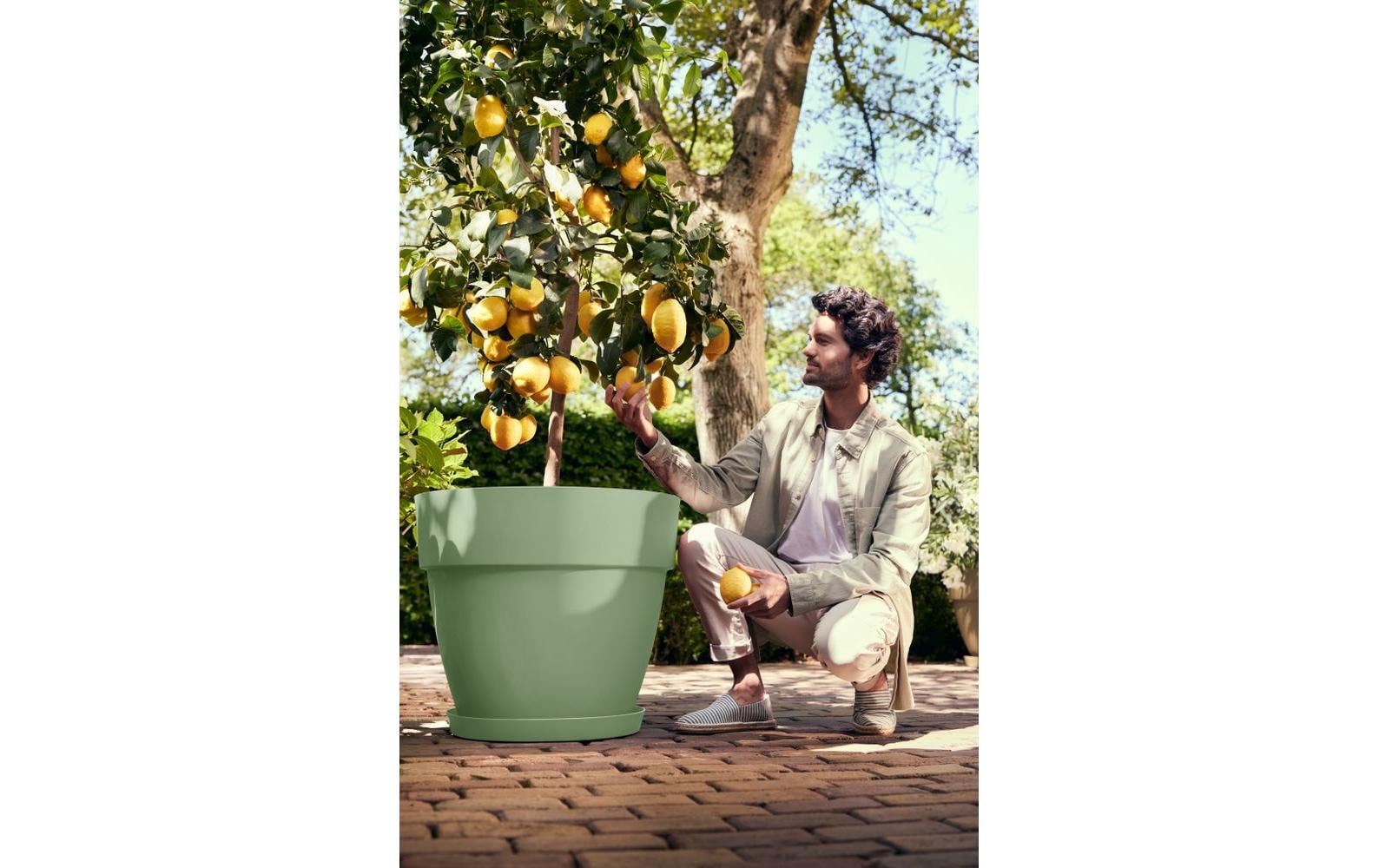 elho Blumentopf – für Aussen – Ø 47 × 40 cm – Kunststoff, Grün