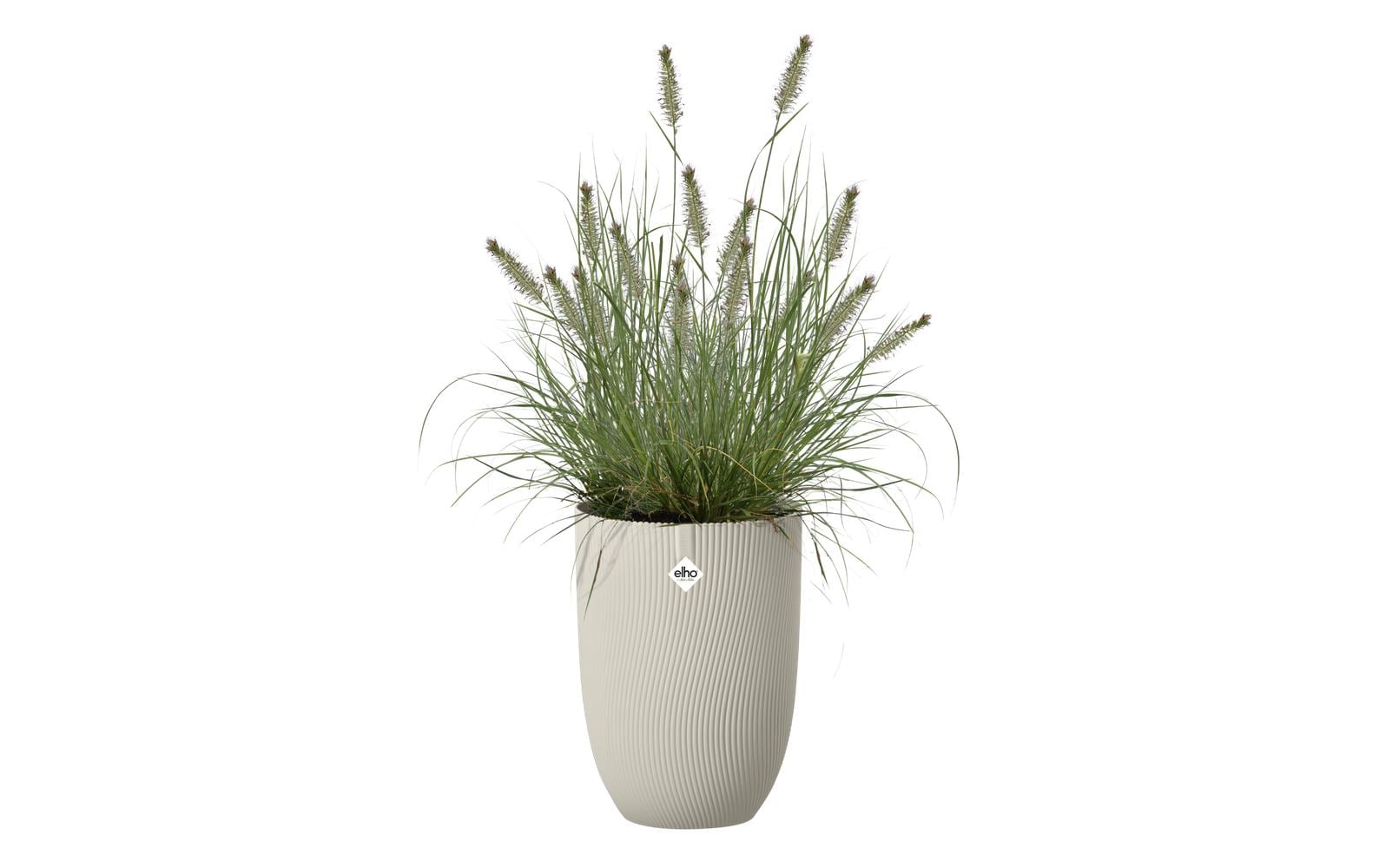 Elho Schale – Kunststoff, beige – Ø 29,5 × 30 cm