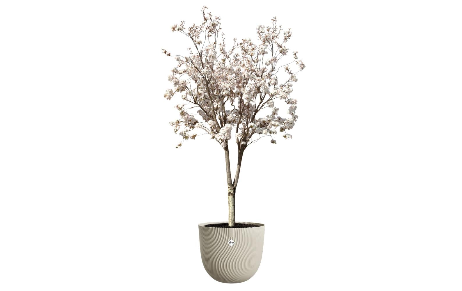 elho Sereh Rund Pflanzkübel – Ø 47 × 40 cm – Kunststoff, beige