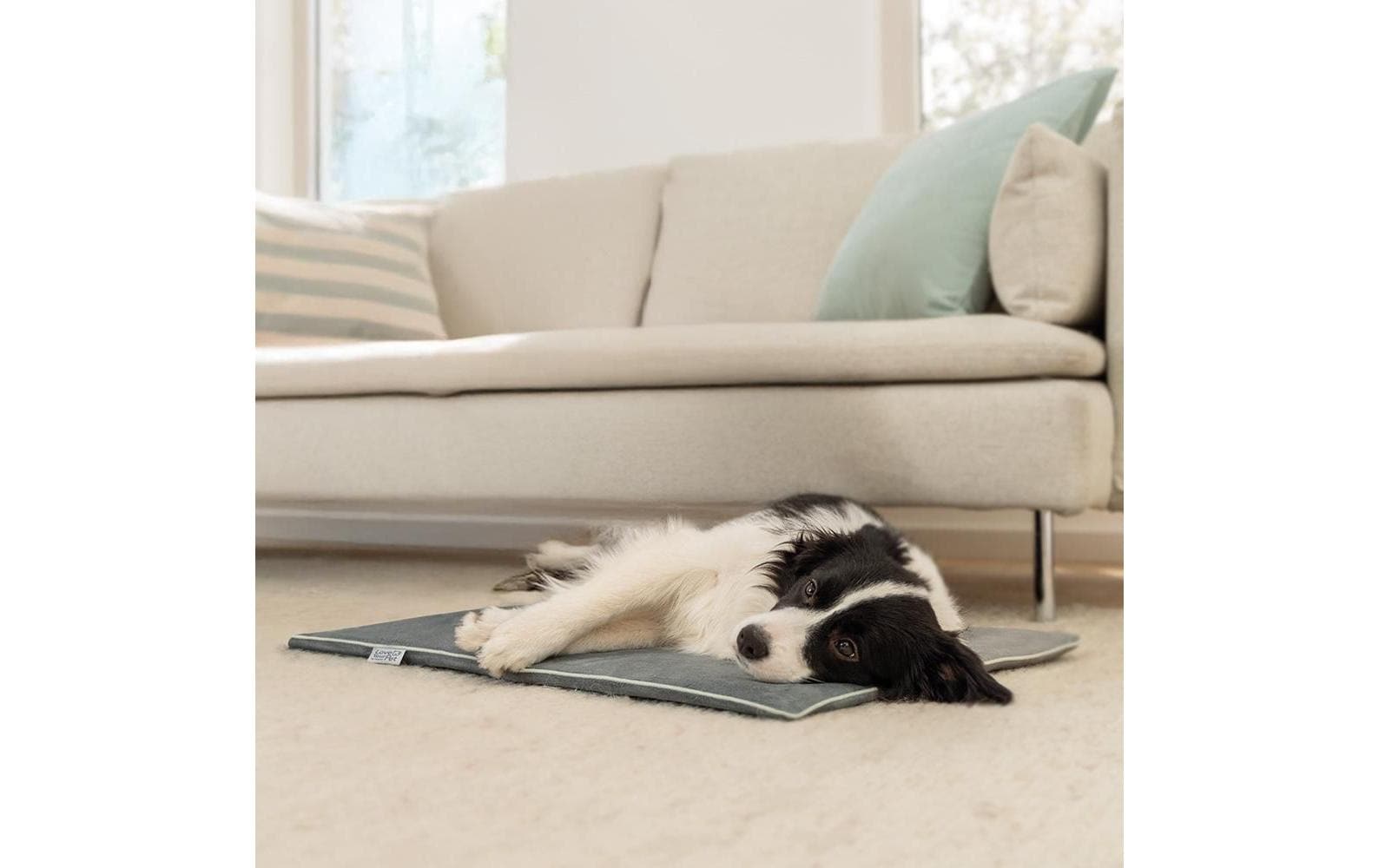 Love your pet by beurer Heizmatte – 9,1 × 50,2 cm – Grau – für Hund, Katze