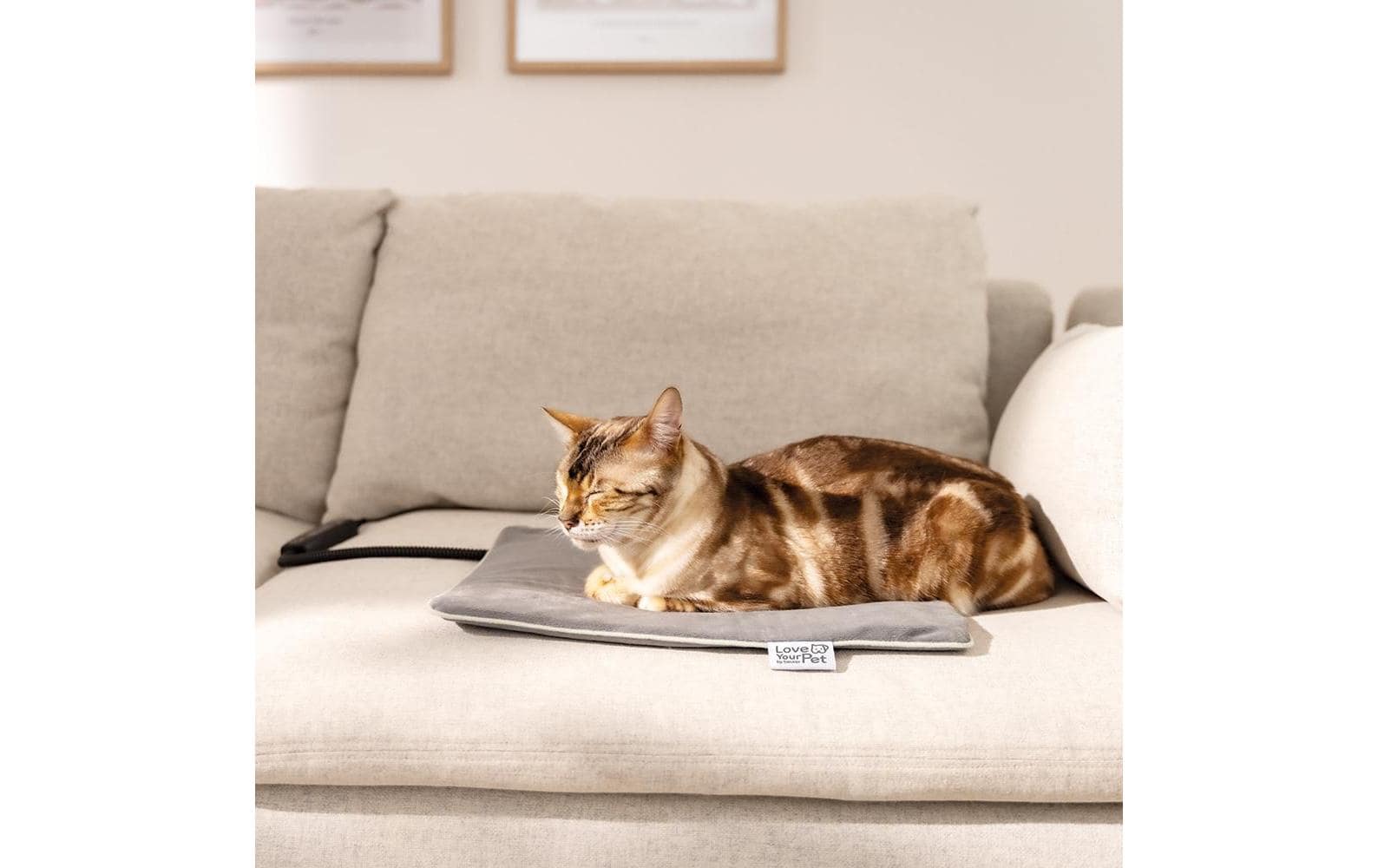 Love your pet by beurer PP 210 Lilli Heizmatte – Grau – 20 × 35 cm