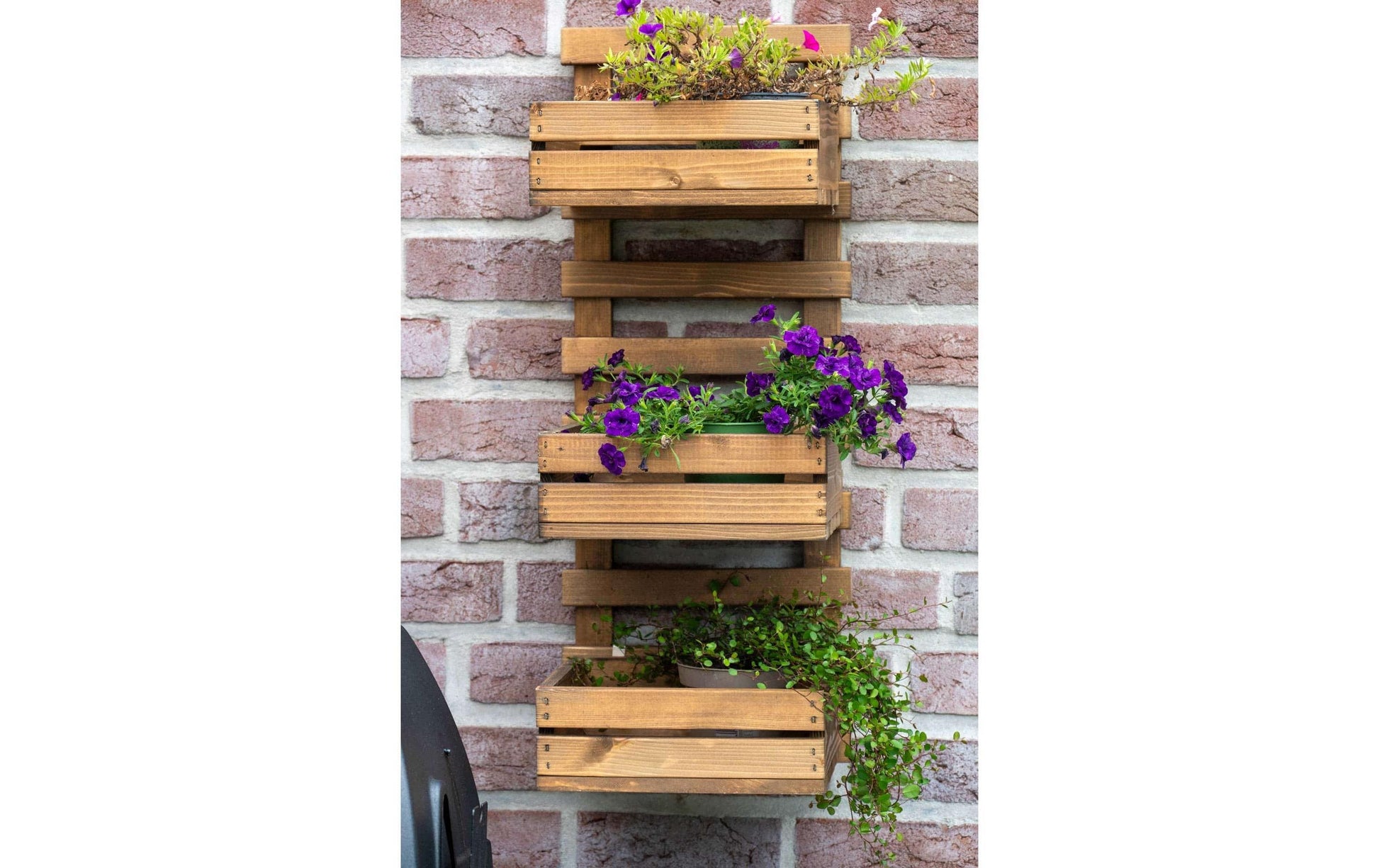 Dobar Wandregal, 58388FSCE – Wandmontage – 3 Böden – 29,5 × 26,5 × 74,5 cm – Braun – Kiefernholz – 1 Stk.