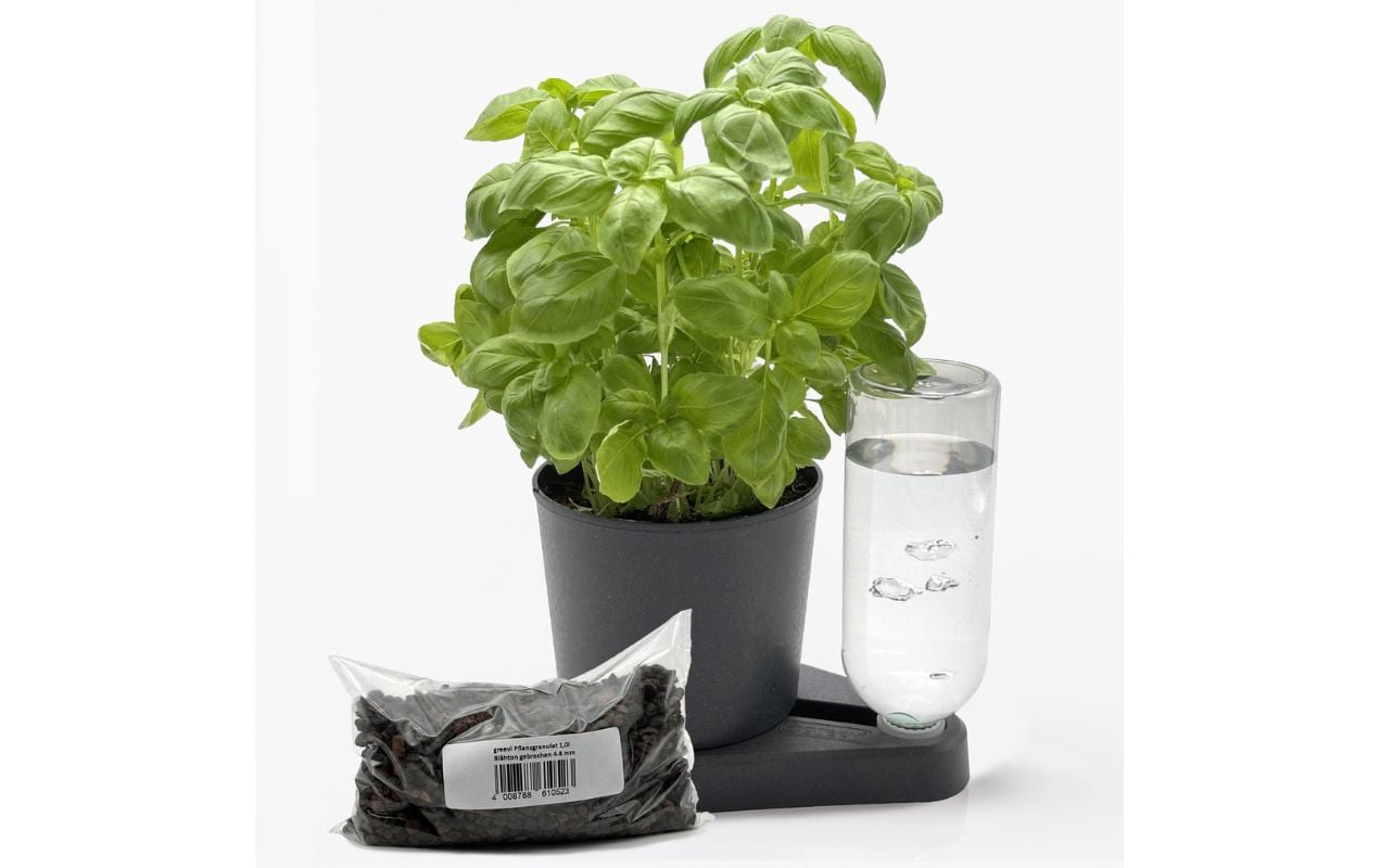 Greevi Pflanztopf – Ø 10,5 × 21 cm, 1000 ml – Kunststoff, Anthrazit – Selbstbewässernd