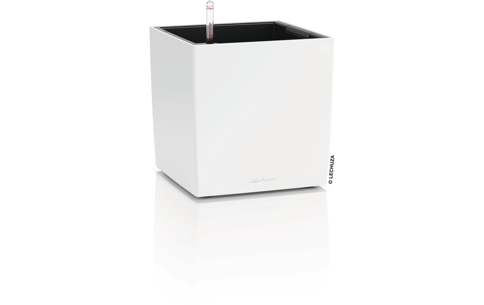 LECHUZA CUBE Color 30 Pflanzkübel – Automatische Bewässerung – Kunststoff, Weiss