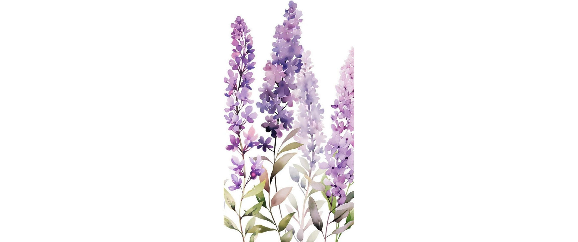 Braun + company B+C Taschentücher Blumen Lila – 4-lagig – 10 Taschentücher