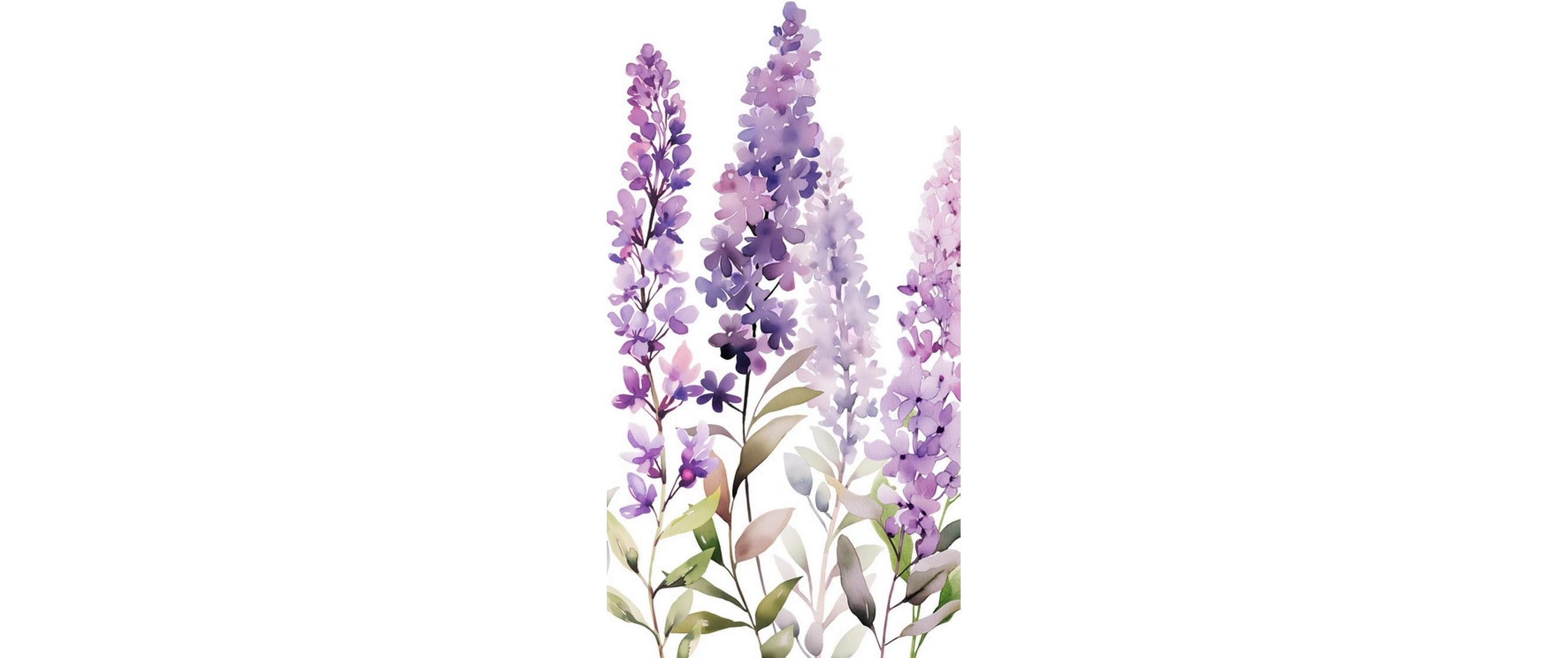 Braun + company B+C Taschentücher Blumen Lila – 4-lagig – 10 Taschentücher