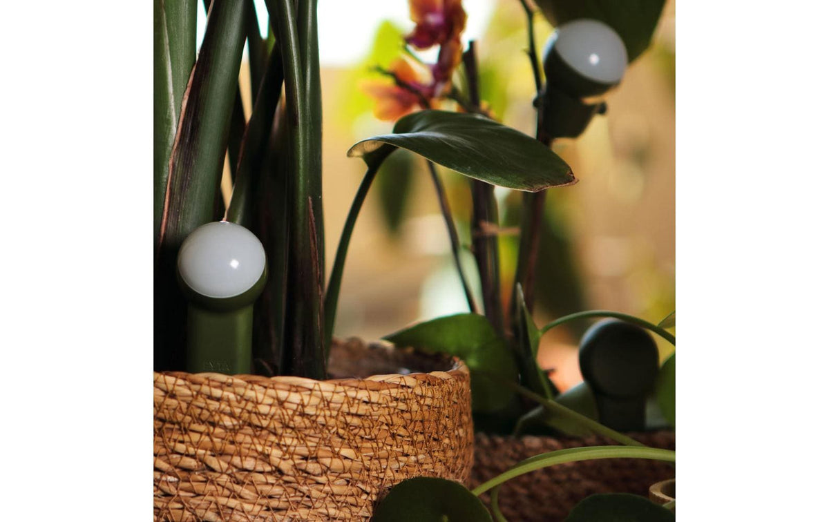 Fyta Jungle Topfbewässerung – grün/silber – 274 × 86 mm