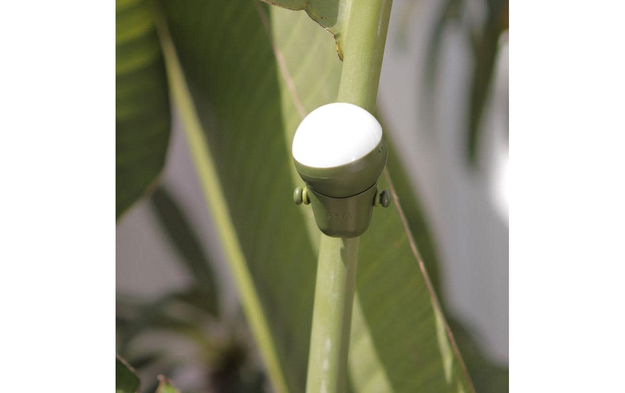 FYTA Sphere Topfbewässerung – grün/weiss – Ø 55 × 35 mm