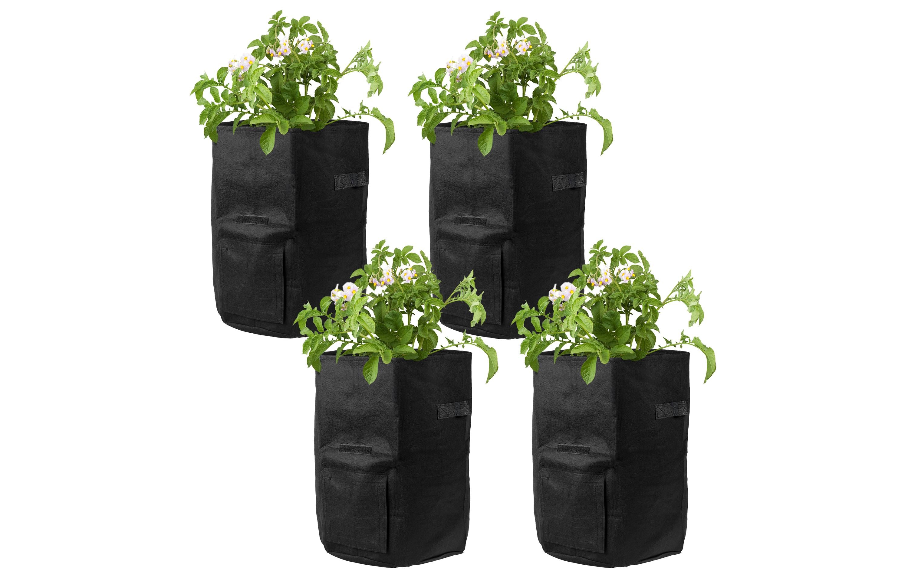Struct Runde Pflanzentasche Ø 35 cm × 40 cm, Filz, Schwarz, für Aussenbereich, Balkon, Garten, 4er Set
