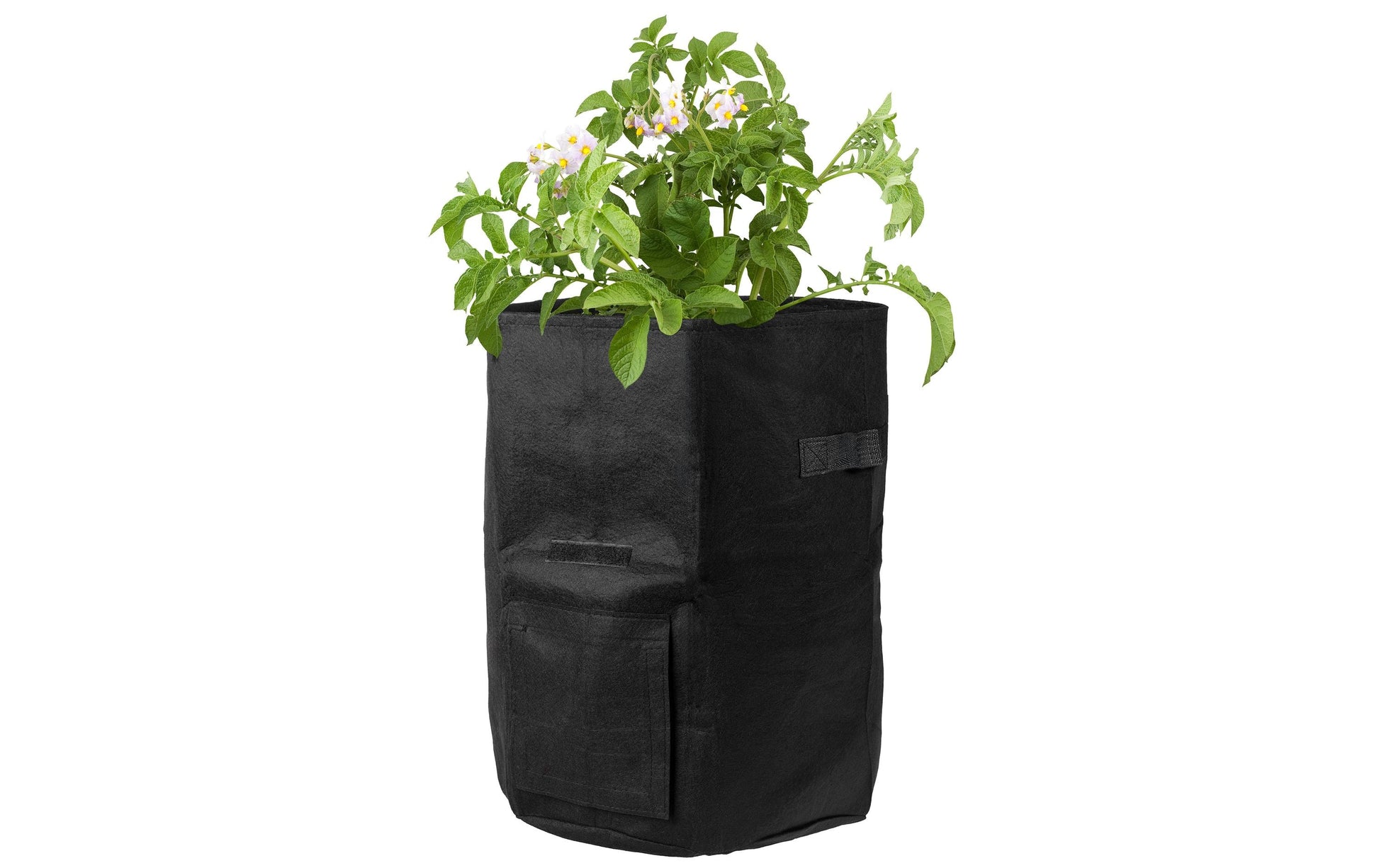 Struct Runde Pflanzentasche Ø 35 cm × 40 cm, Filz, Schwarz, für Aussenbereich, Balkon, Garten, 4er Set