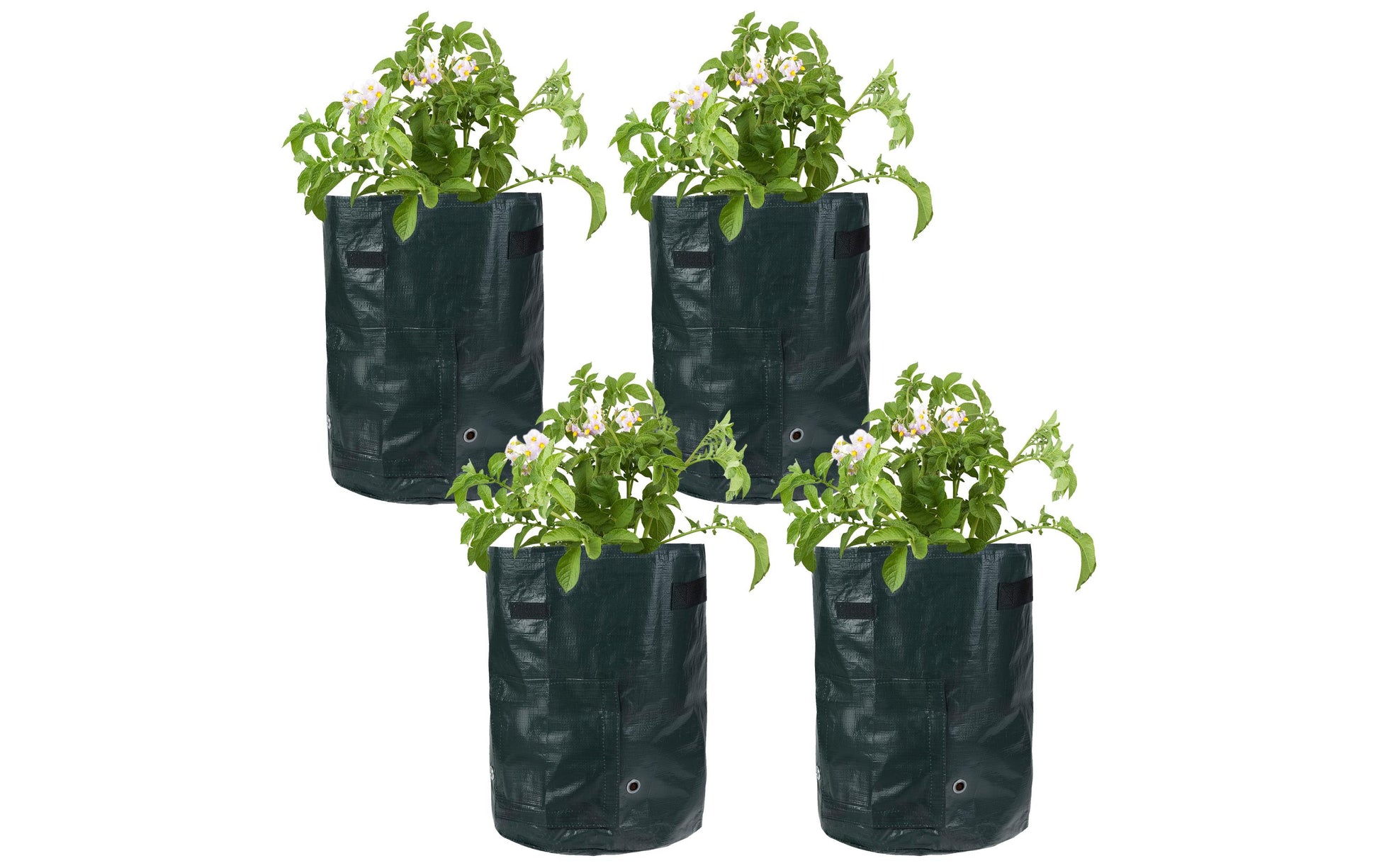 Struct Pflanzentasche – 4-teilig, Ø 35 × 40 cm – Polyethylen (PE), dunkelgrün