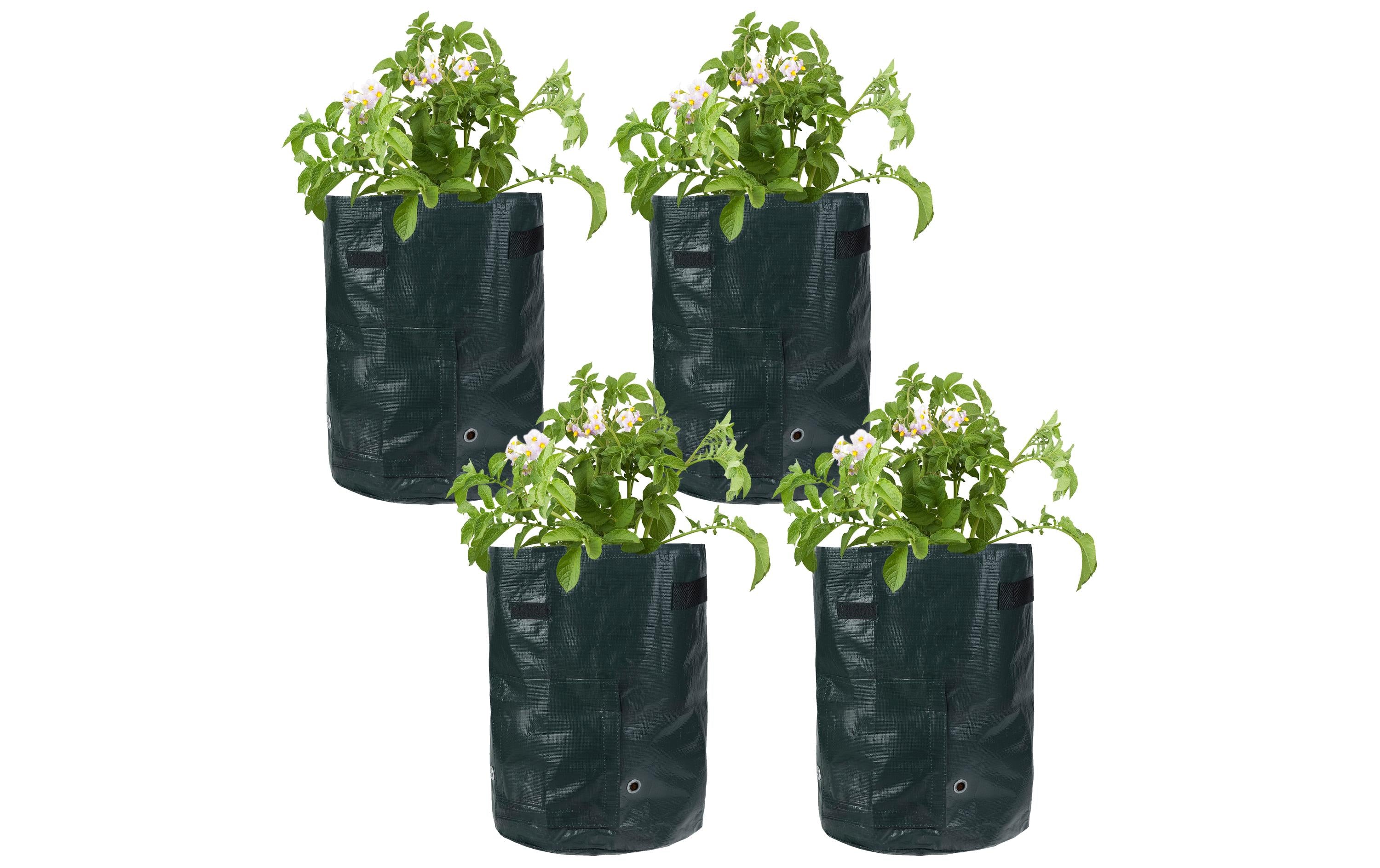 Struct Pflanzentasche – 4-teilig, Ø 35 × 40 cm – Polyethylen (PE), dunkelgrün