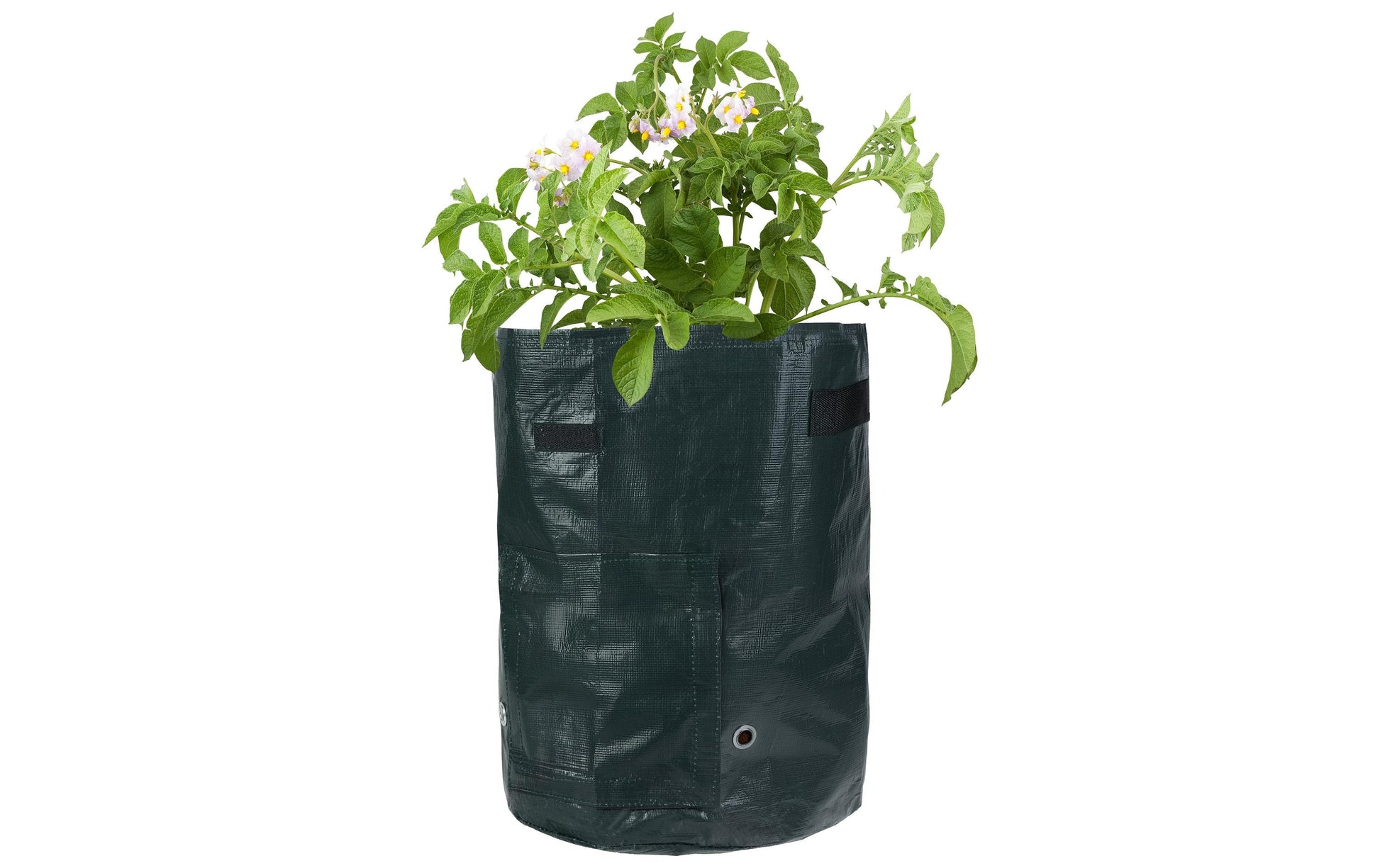 Struct Pflanzentasche – 4-teilig, Ø 35 × 40 cm – Polyethylen (PE), dunkelgrün