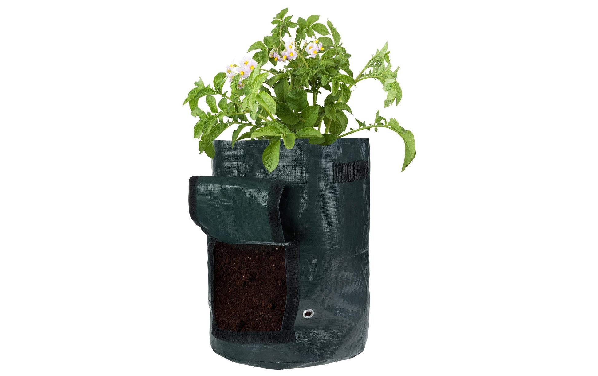 Struct Pflanzentasche – 4-teilig, Ø 35 × 40 cm – Polyethylen (PE), dunkelgrün