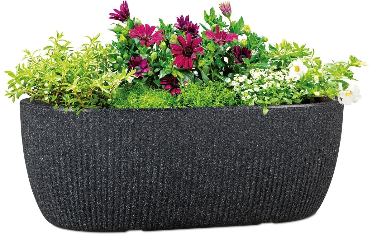 Scheurich Schale – Keramik, beige – Ø 24 cm