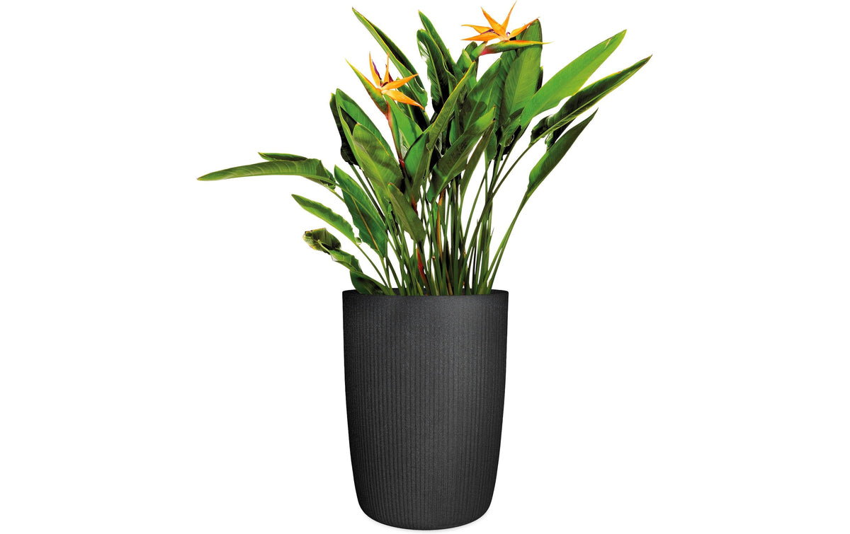 Scheurich Linetto Hochgefäss – Ø 24 cm, 21,3 l – Kunststoff, schwarz