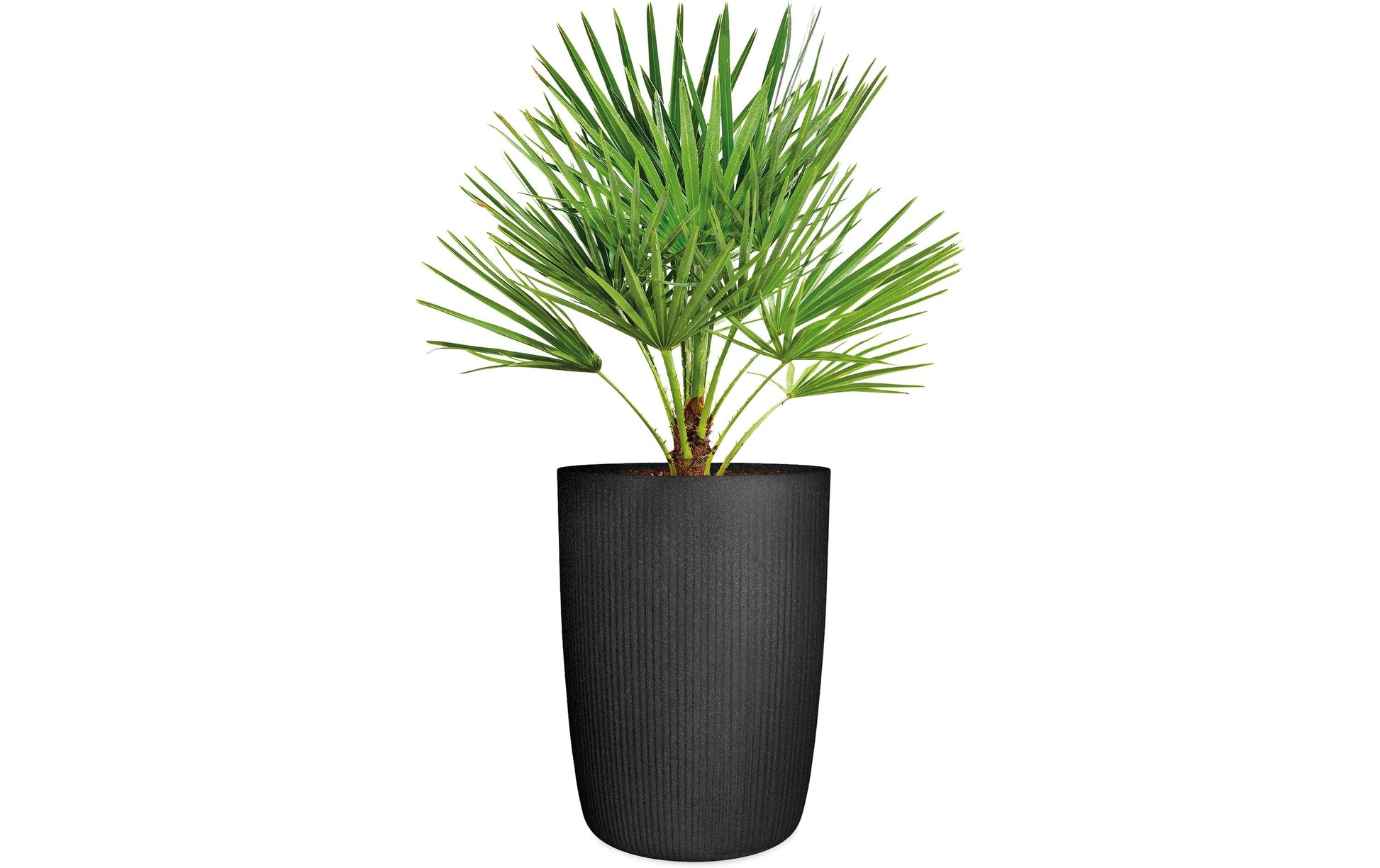 Scheurich Linetto Hochgefäss – Ø 24 cm, 21,3 l – Kunststoff, schwarz