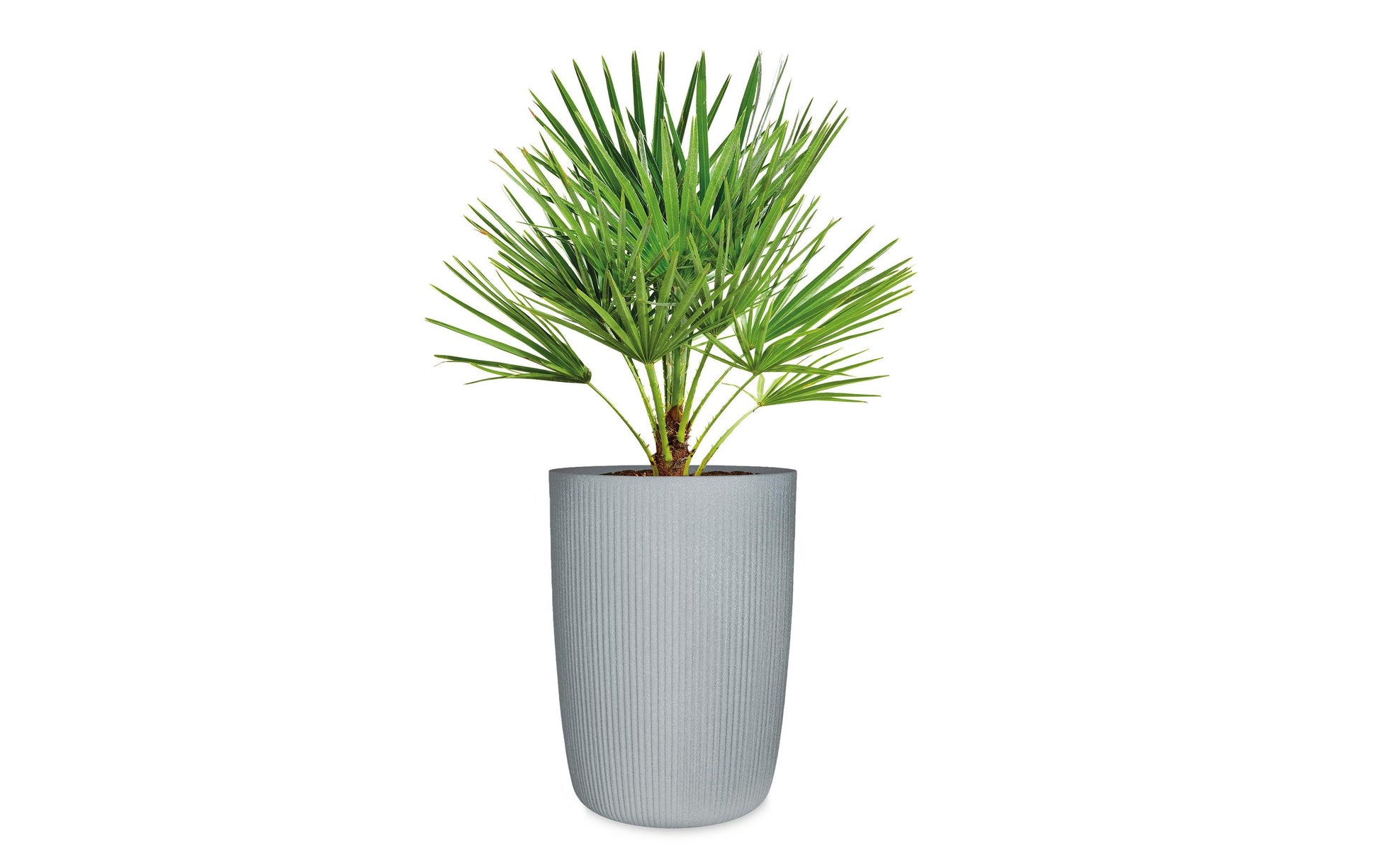 Scheurich Linetto High Hochgefäss – 21300 ml – Kunststoff, grau