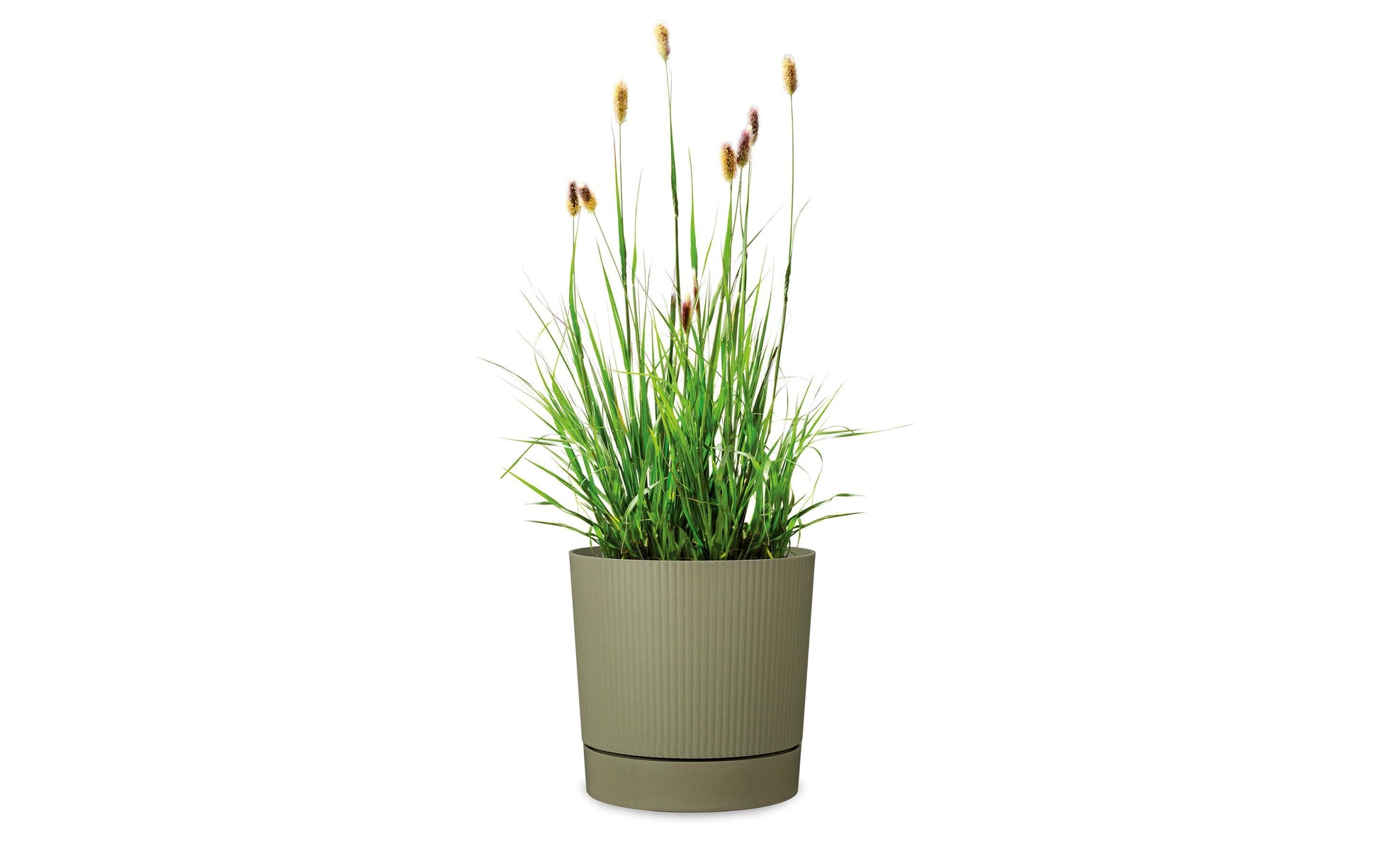 Scheurich LINO+ Pflanzgefäss – Ø 24 cm – Kunststoff, grün