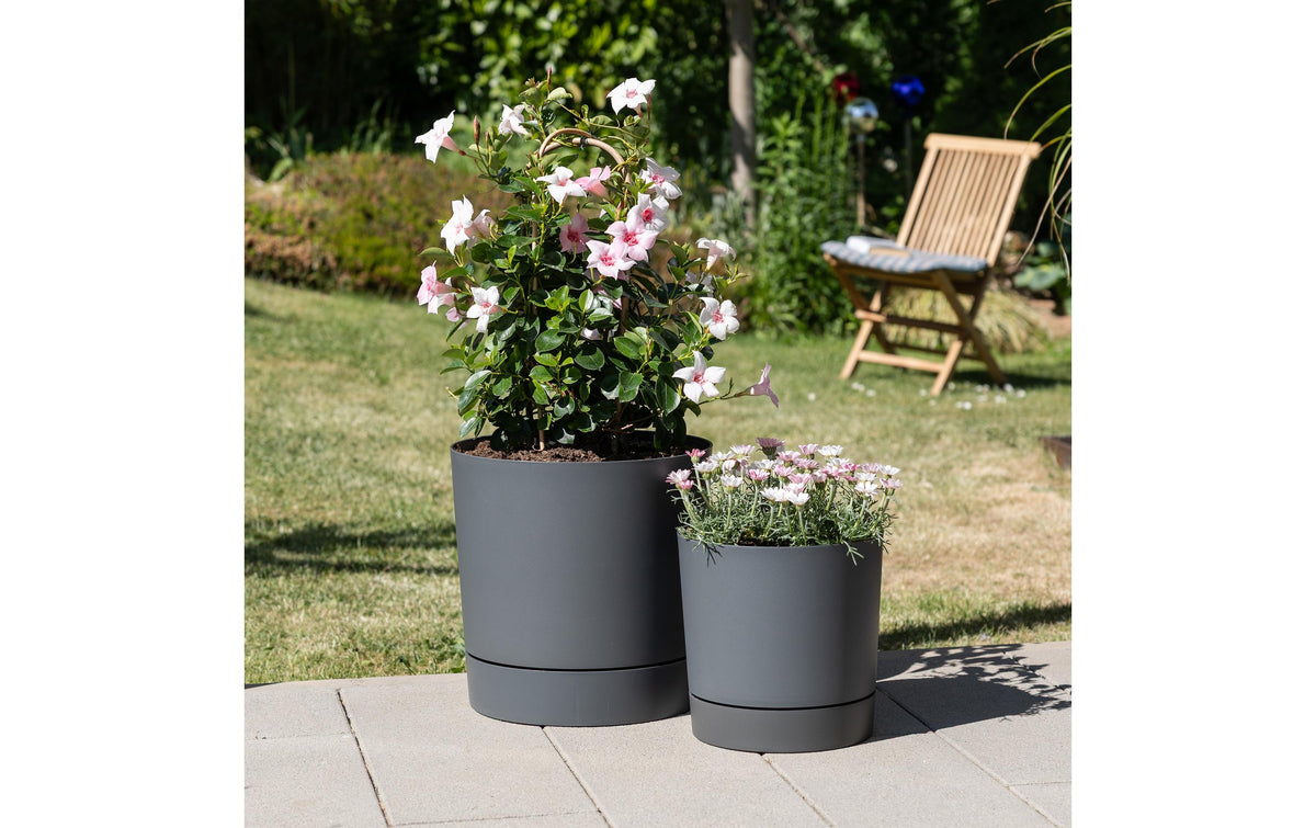 Scheurich PLANO+ Pflanzgefäss – 13 l – Kunststoff, grau
