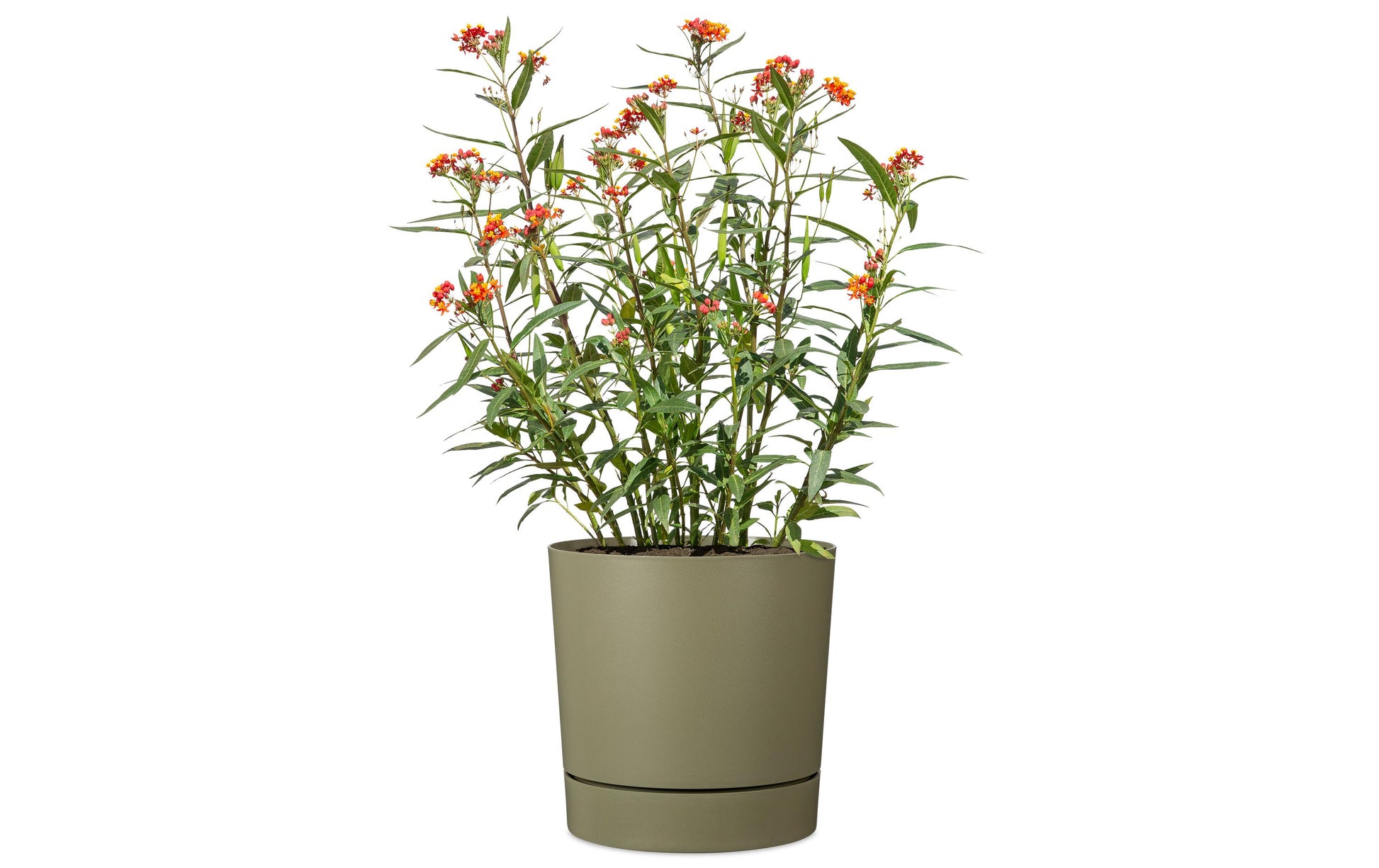 Scheurich PLANO+ Pflanzgefäss – Ø 24 cm – Keramik, beige
