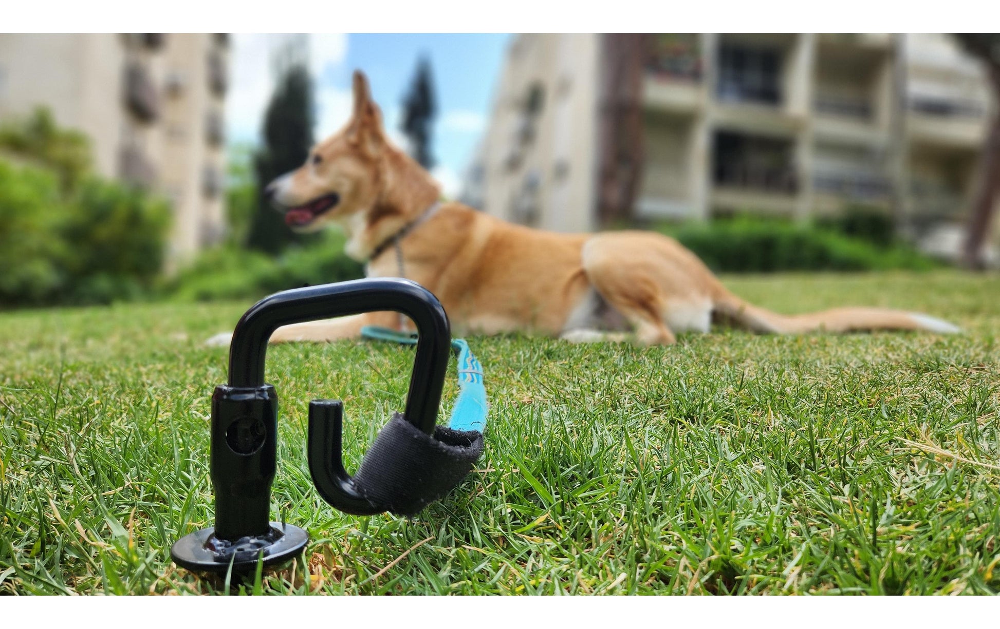 Nakkoo Diggo Dog Stake Universalhalterung – Höhe 350 mm, Gewicht 1 kg