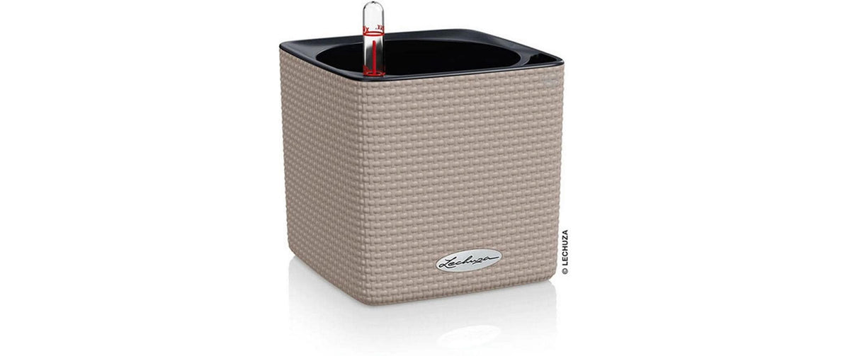 LECHUZA CUBE Color Pflanzkübel – Automatische Bewässerung, 400 ml – Kunststoff, Sandbraun