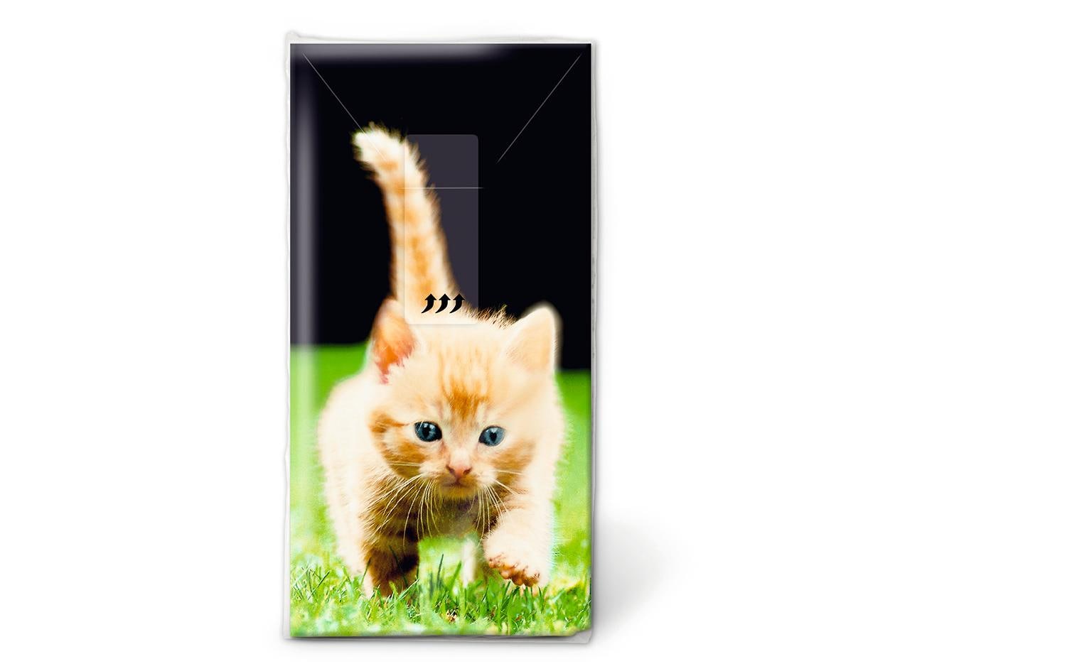 Paper + Design Taschentücher – 4-lagig, 215 × 220 mm – 10 Taschentücher