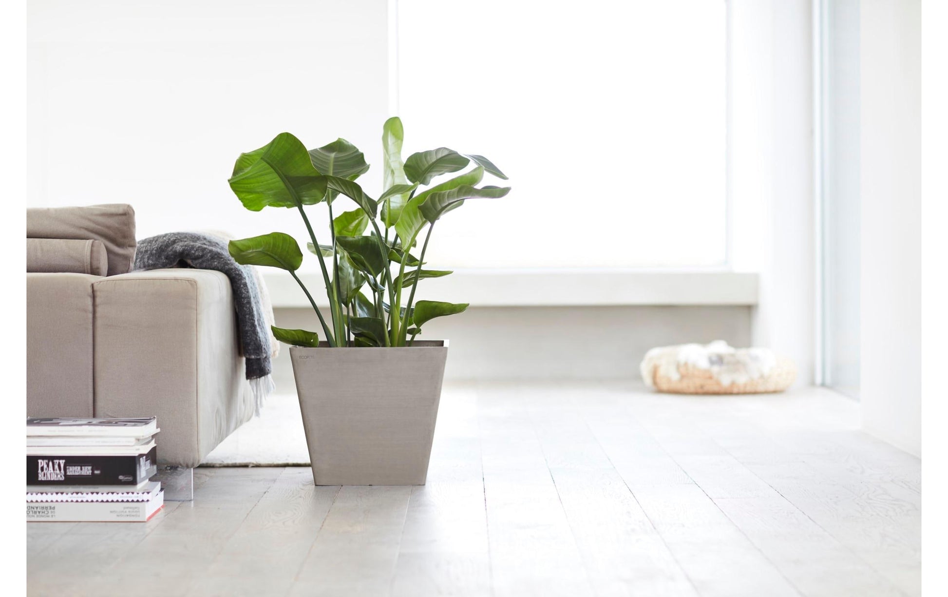 Ecopots Rotterdam Blumentopf – Kunststoff, taupe