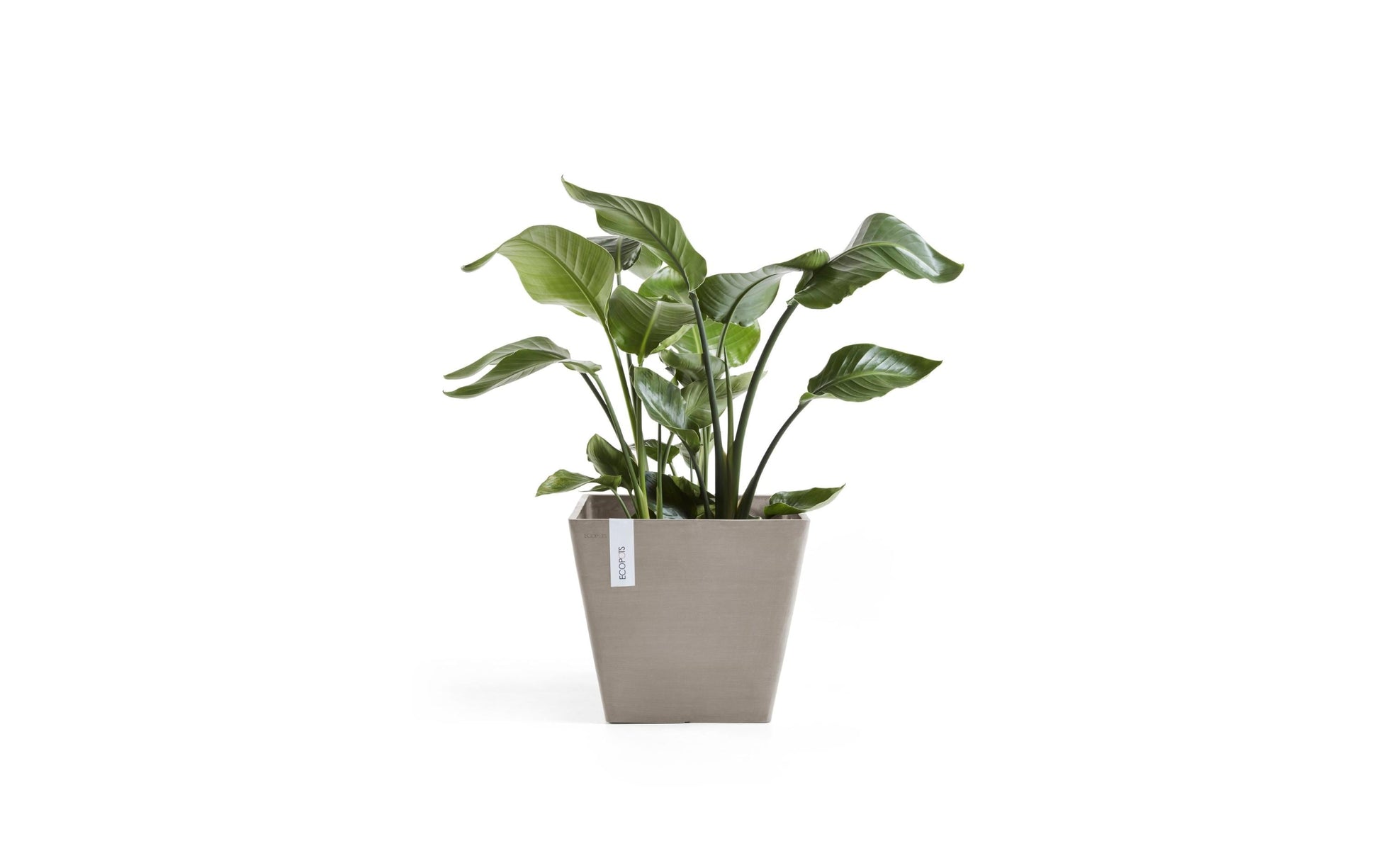 Ecopots Blumentopf – 75 l – Recycling-Kunststoff, Beige