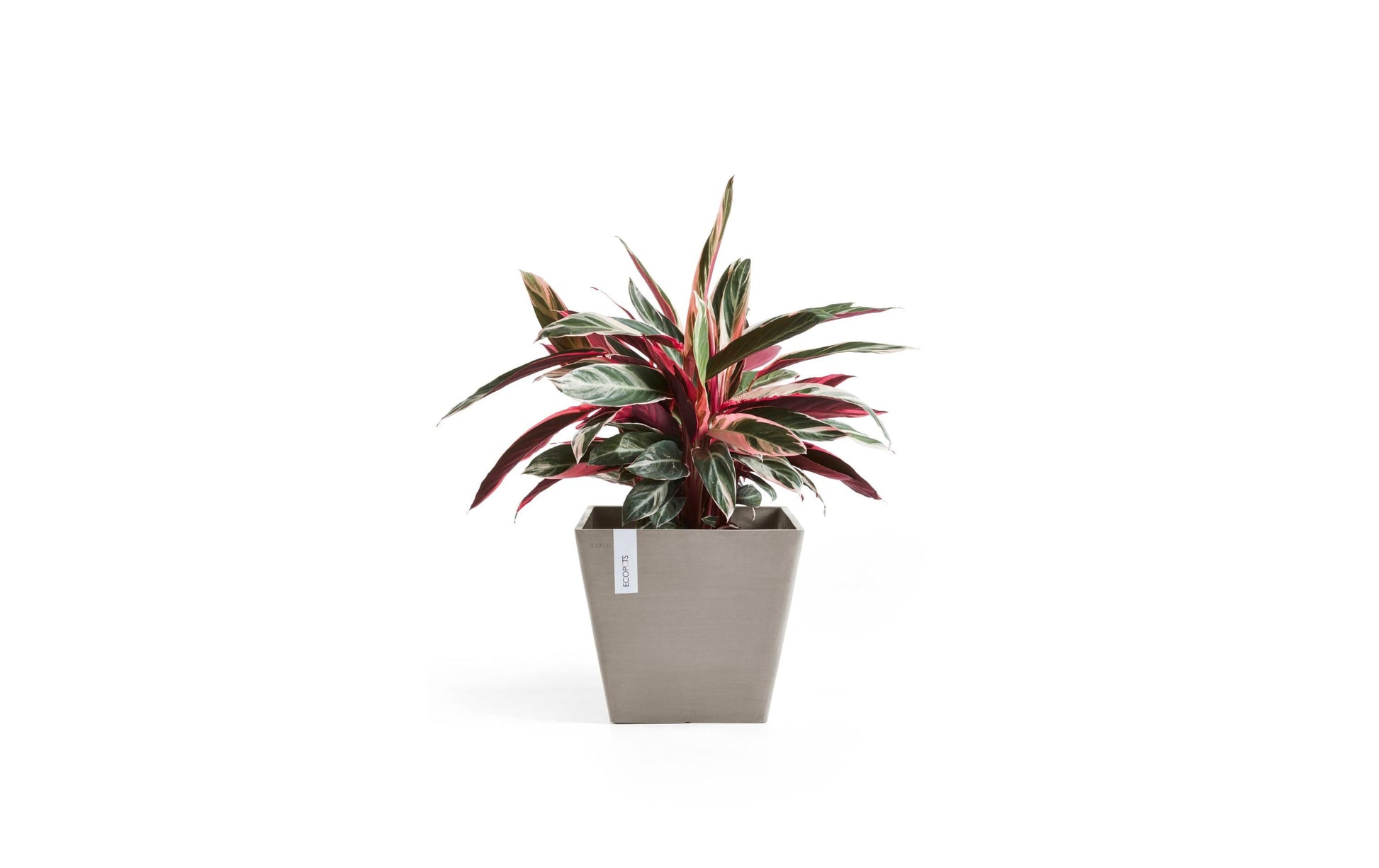 Ecopots Rotterdam Blumentopf – 17000 ml – Recycling-Kunststoff, Beige