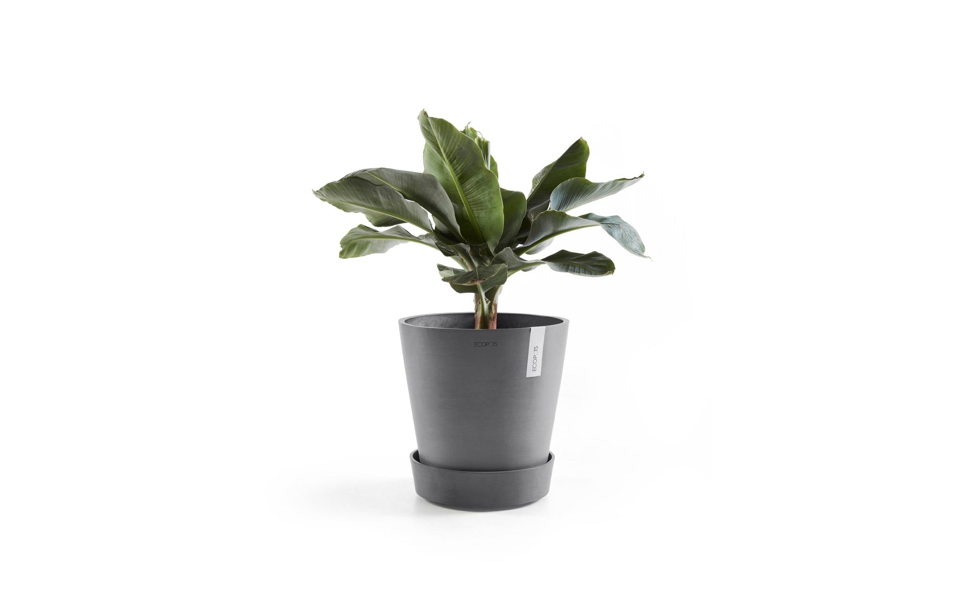Ecopots Pflanzentopf-Untersetzer – mit Rollen – Kunststoff, Grau