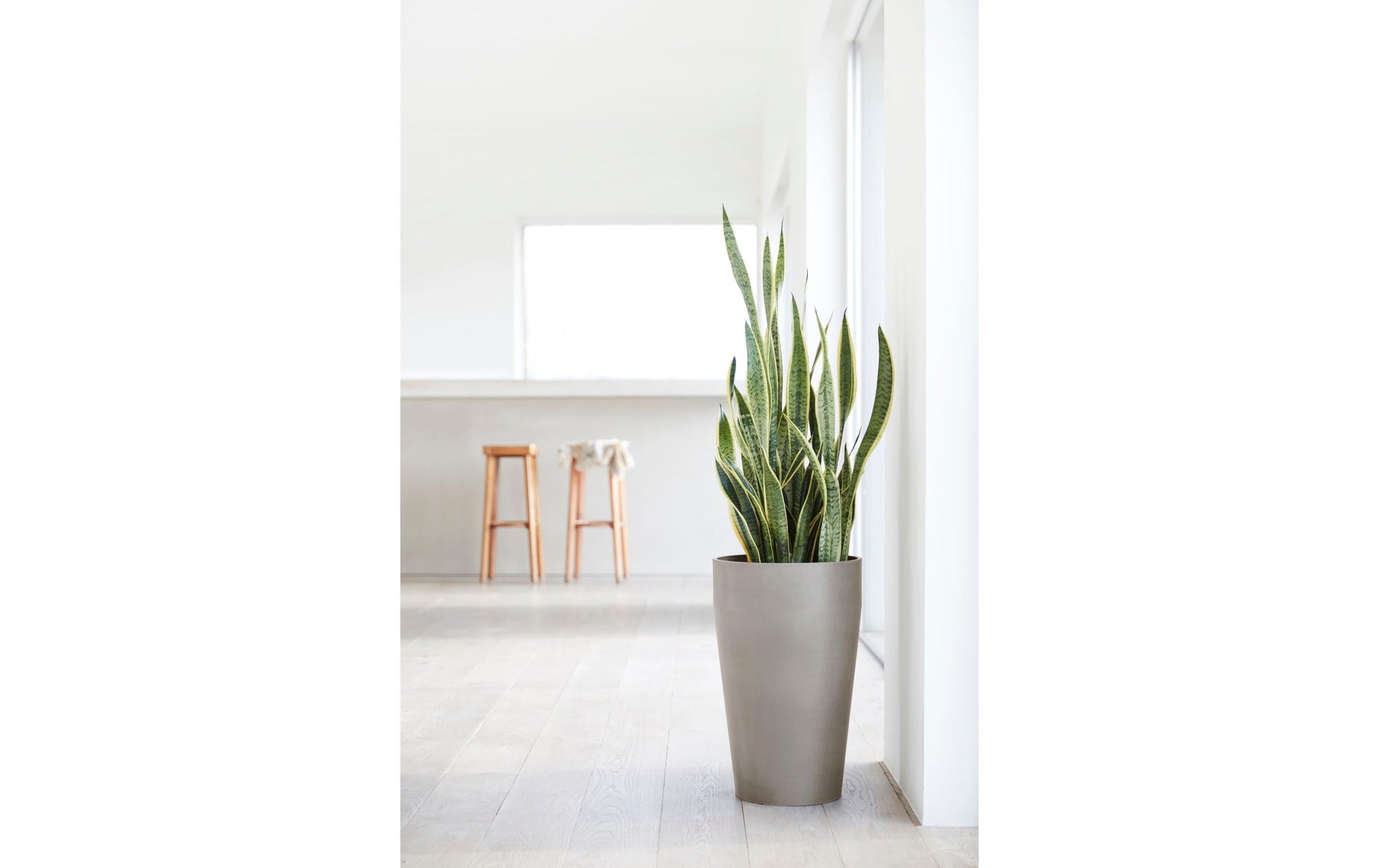 Ecopots Blumentopf – Ø 45 × 75 cm – Kunststoff, taupe