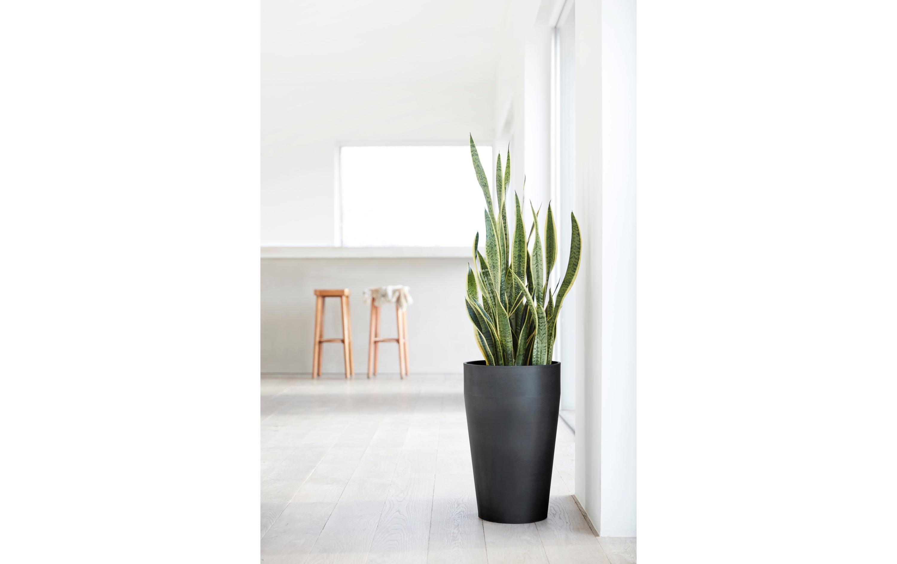 Ecopots Sankara High Pflanzkübel – Ø 45 × 75 cm – Recycling-Kunststoff, Dunkelgrau