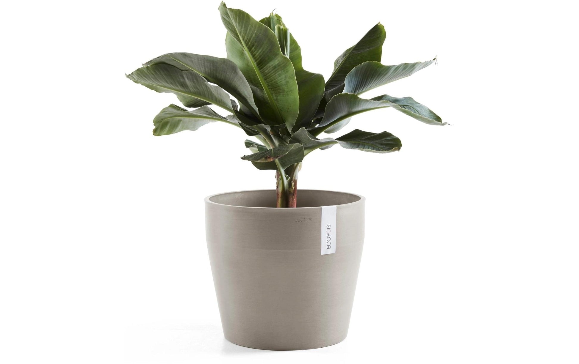 Ecopots Blumentopf – rund – Recycling-Kunststoff, Taupe