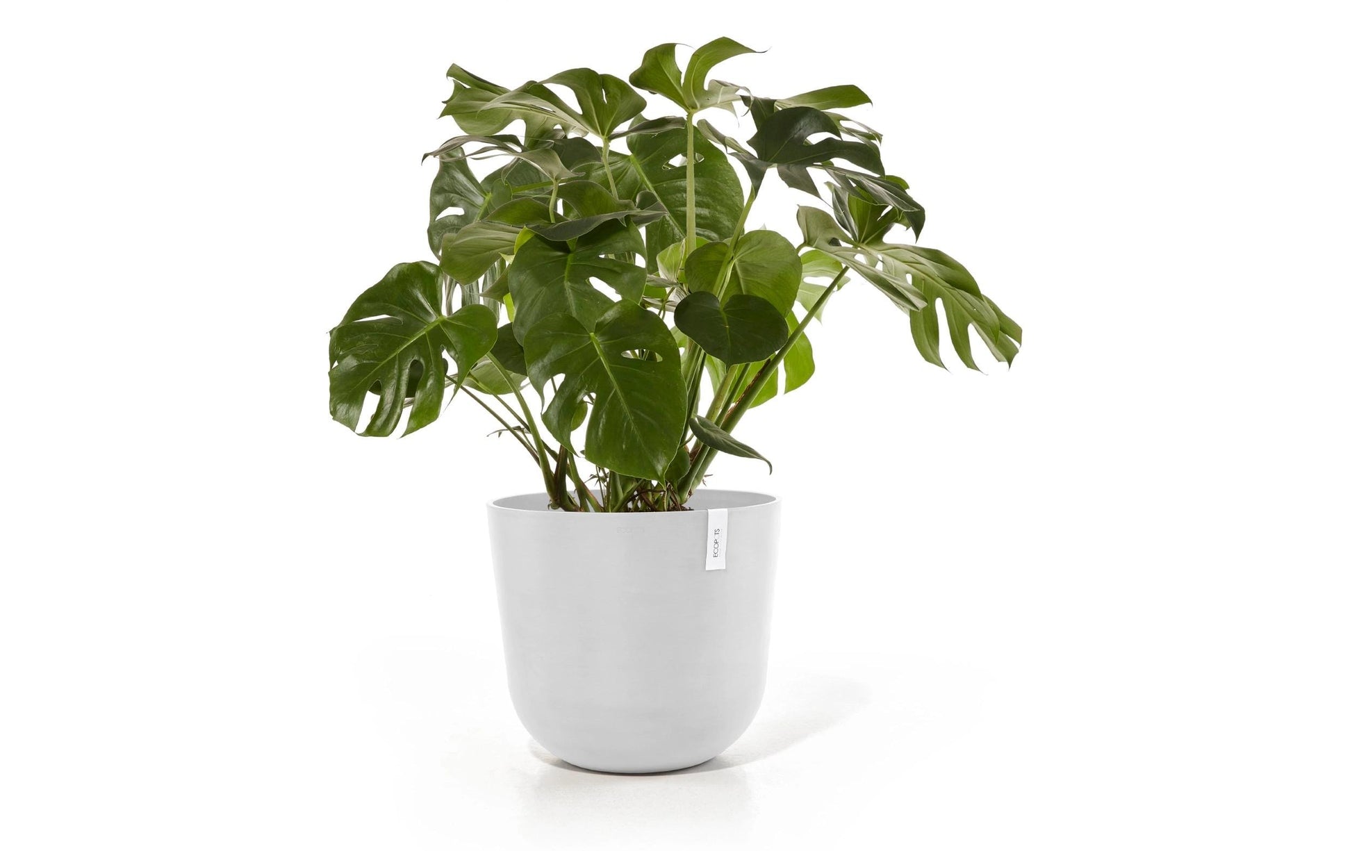 Ecopots Oslo Blumentopf – rund, 85,6 l – Recycling-Kunststoff, weiss
