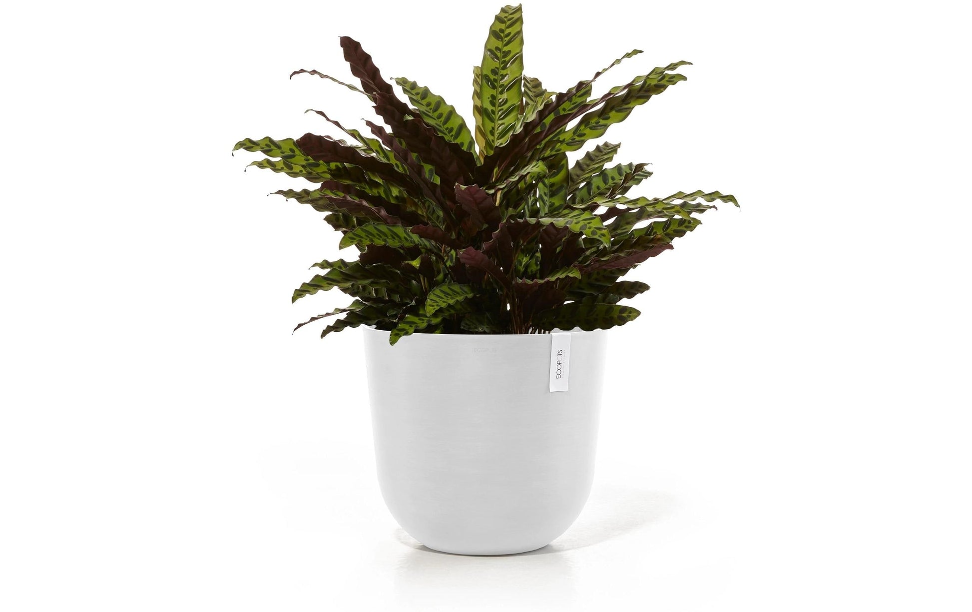 Ecopots Oslo Blumentopf – 46600 ml – Kunststoff, weiss