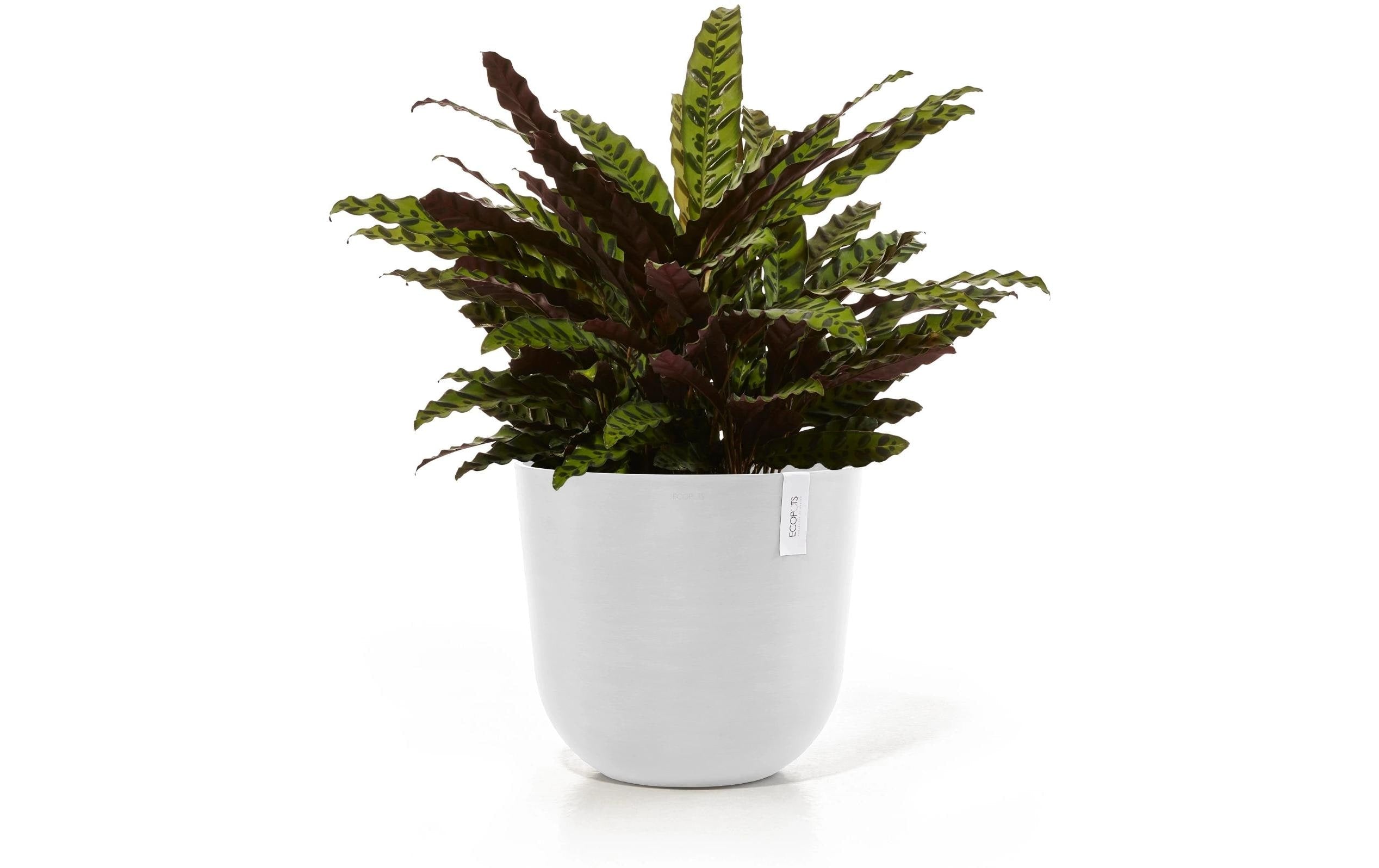 Ecopots Oslo Blumentopf – 46600 ml – Kunststoff, weiss