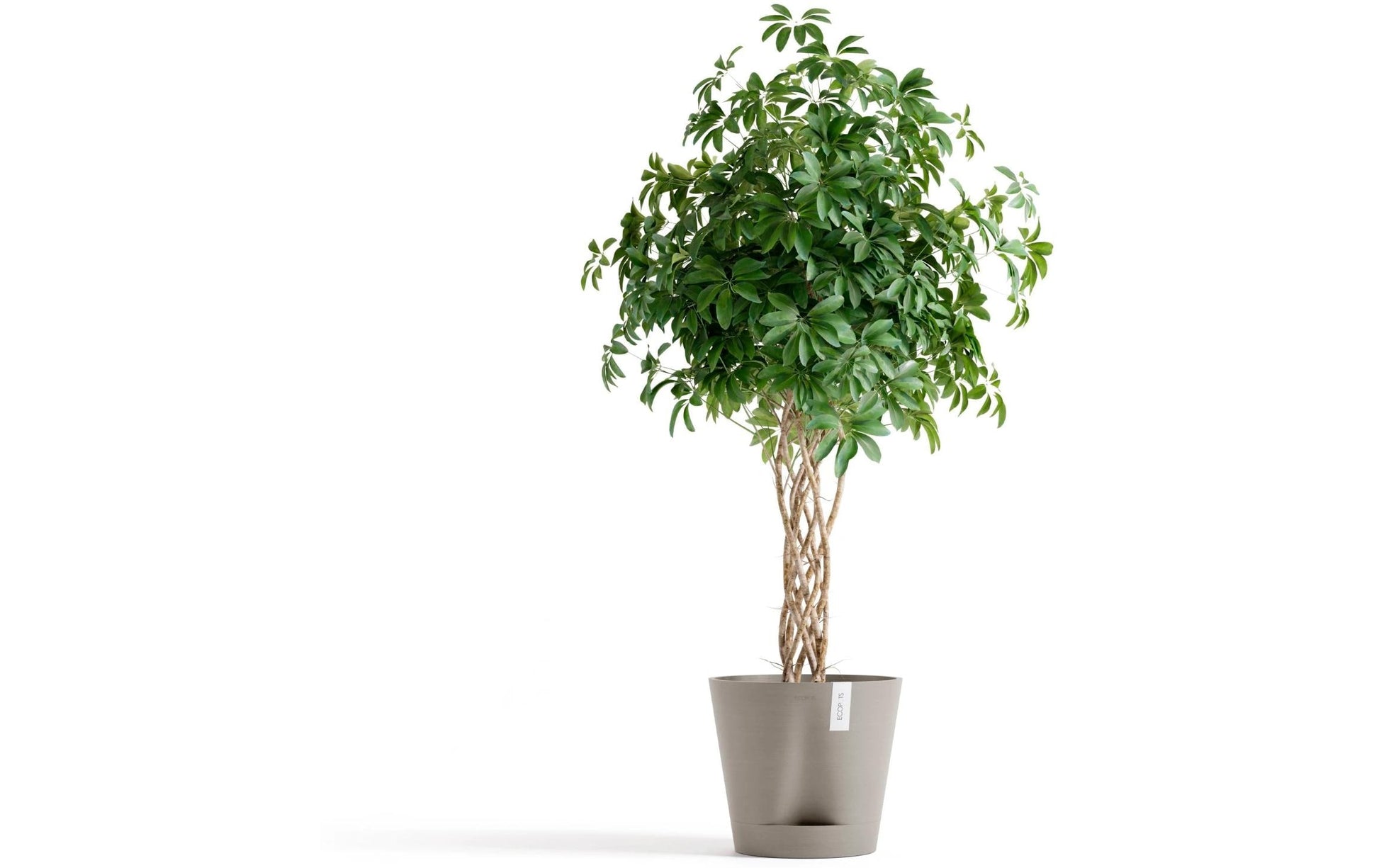 Ecopots Blumentopf – 60 l – Kunststoff, taupe