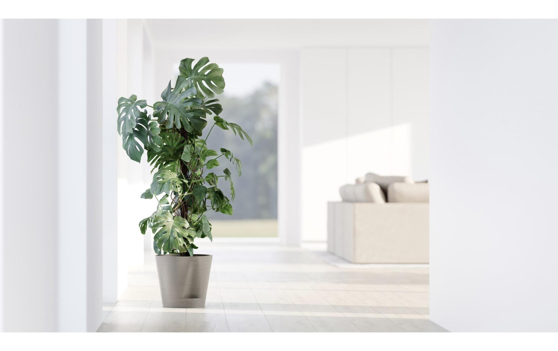 Ecopots Blumentopf – 50 l, mit automatischer Bewässerung – Kunststoff, Taupe
