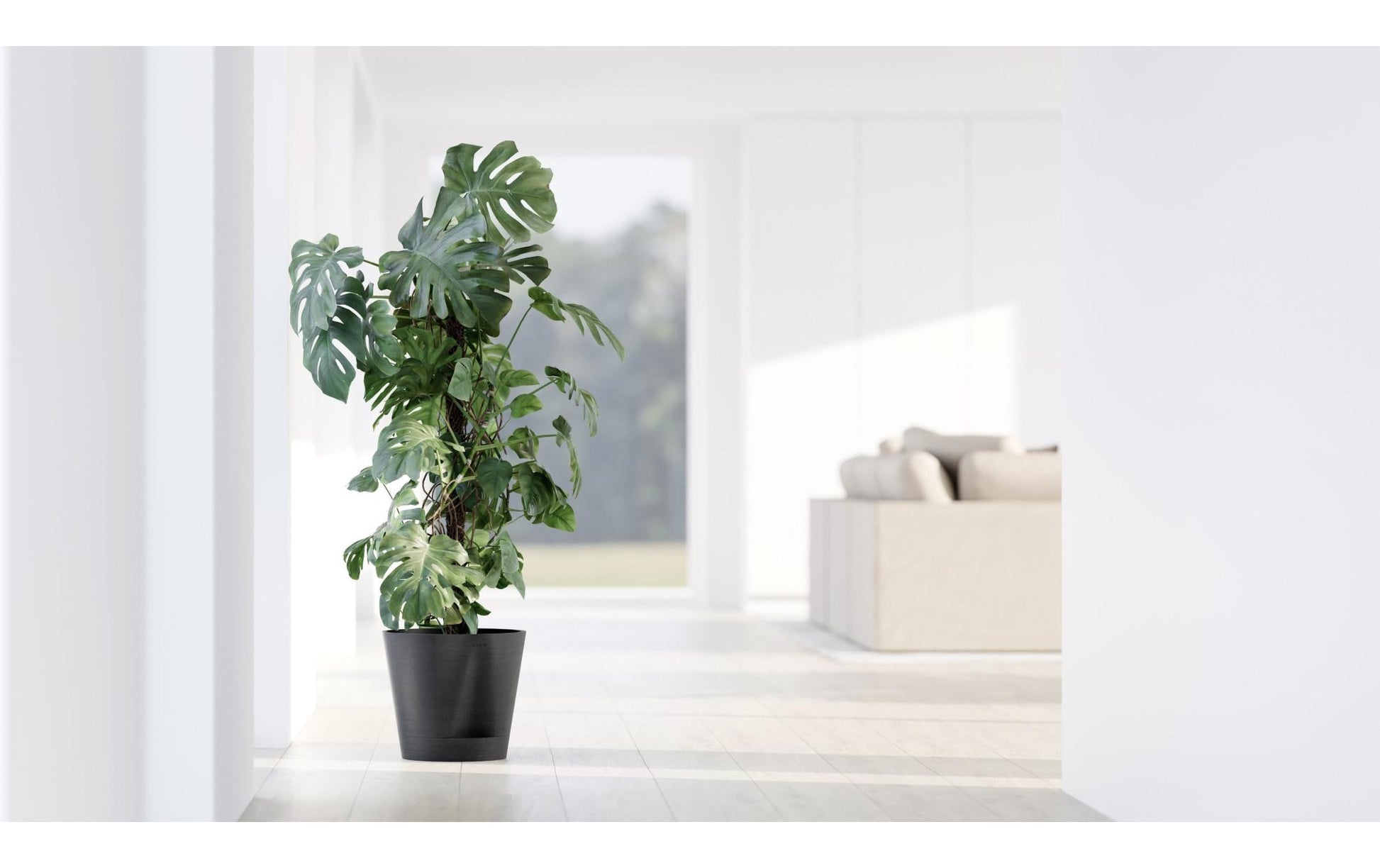 Ecopots Venice 2 Blumentopf – 50 l – Recycling-Kunststoff, Dunkelgrau