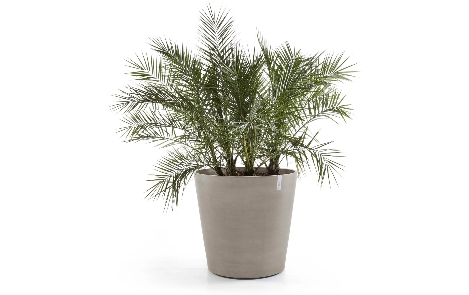 Ecopots Blumentopf – 100 l – Kunststoff, Taupe – mit integrierten Gummirollen