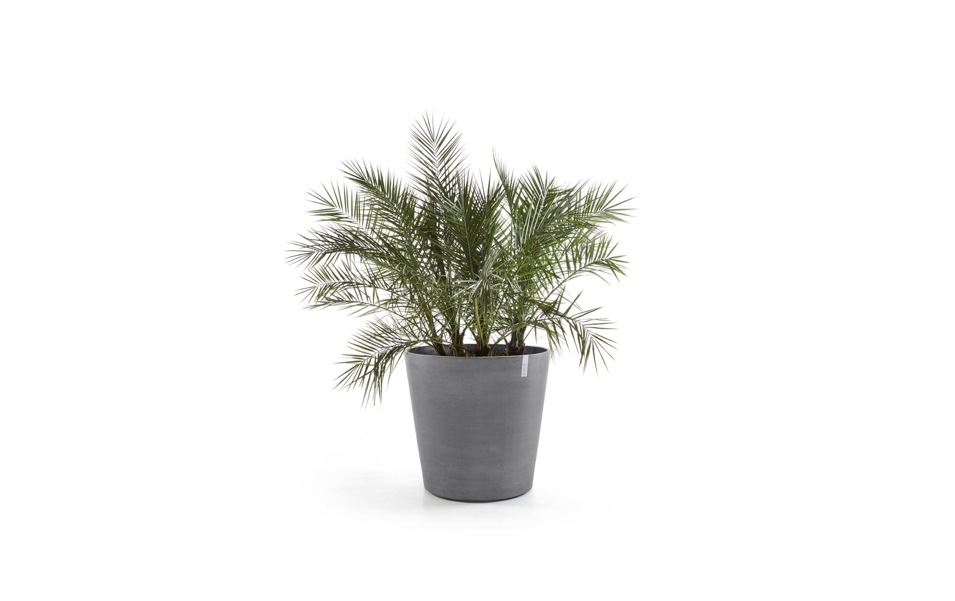 Ecopots Amsterdam Wheels Blumentopf – 100000 ml – Recycling-Kunststoff, Grau