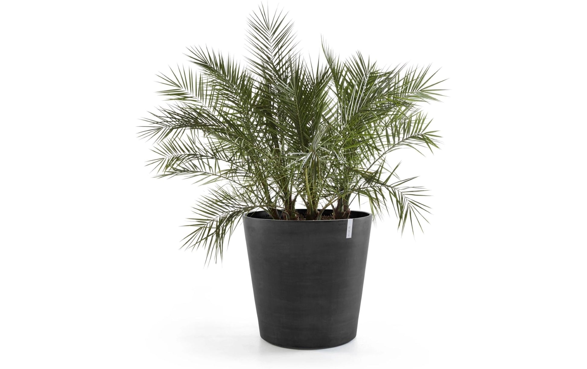 Ecopots Amsterdam Wheels Blumentopf – 100000 ml, für Innen und Aussen – Recycling-Kunststoff, schwarz